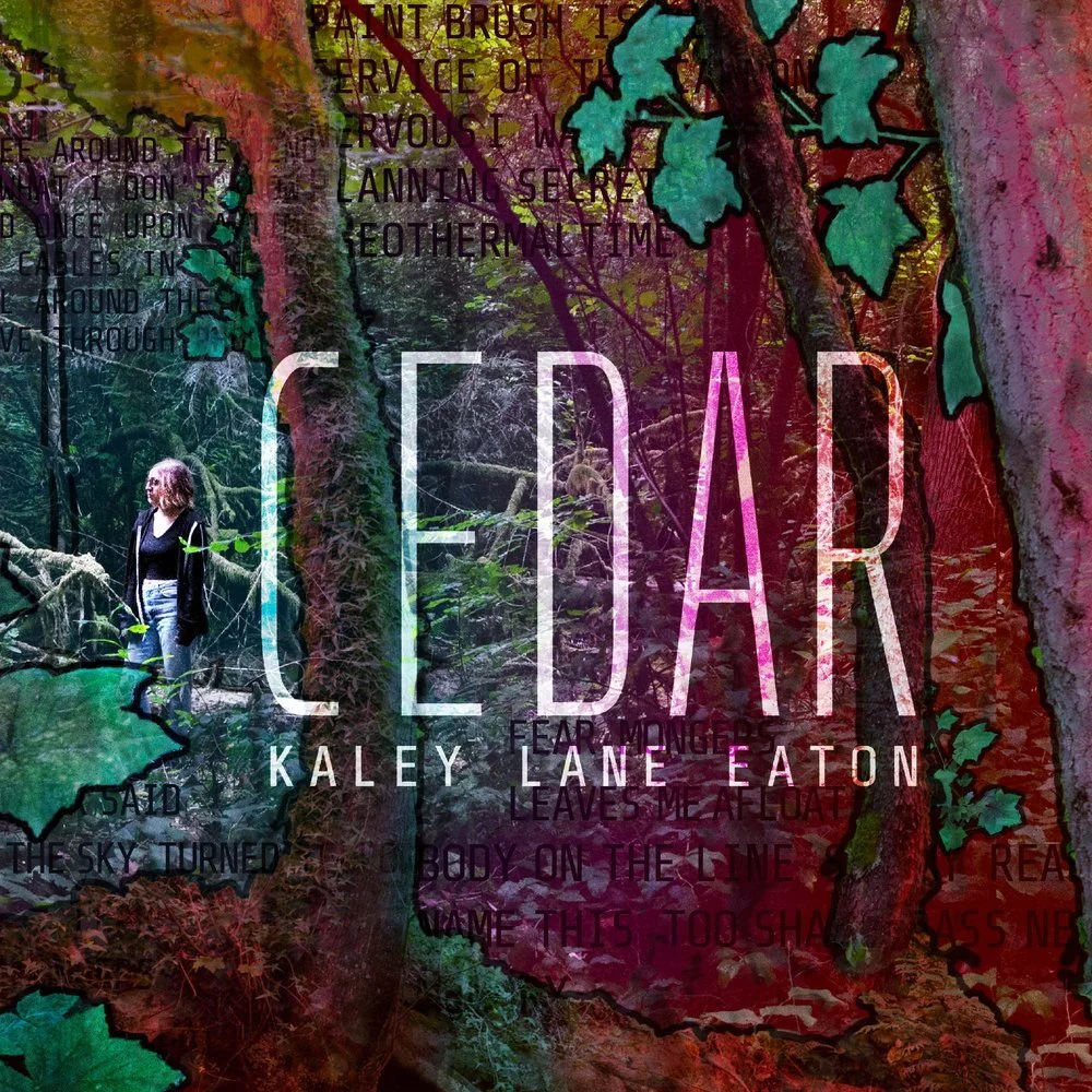 Cedar Album Art.jpeg