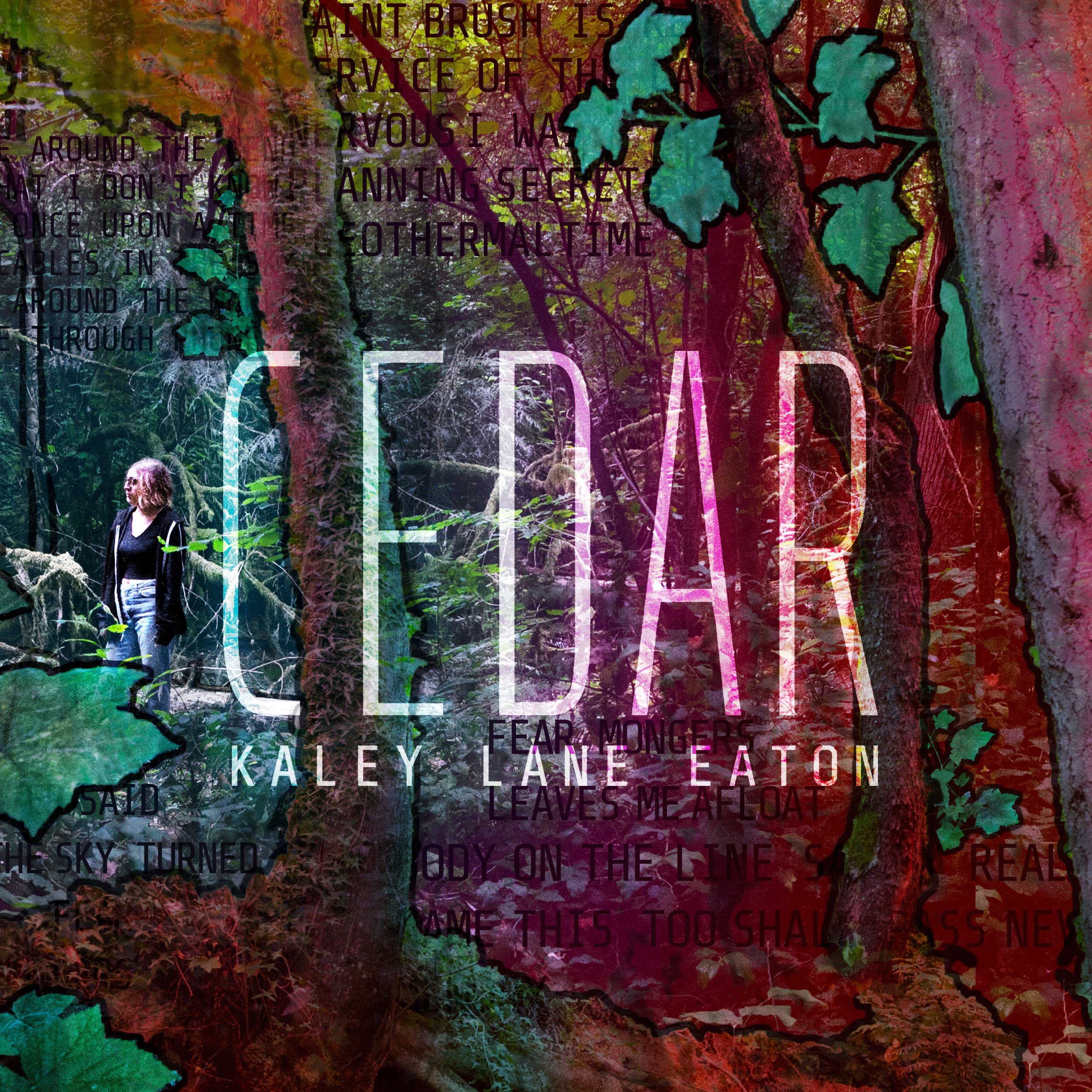 CEDAR_Album_Cover_12.11.21_SQUARE.jpg