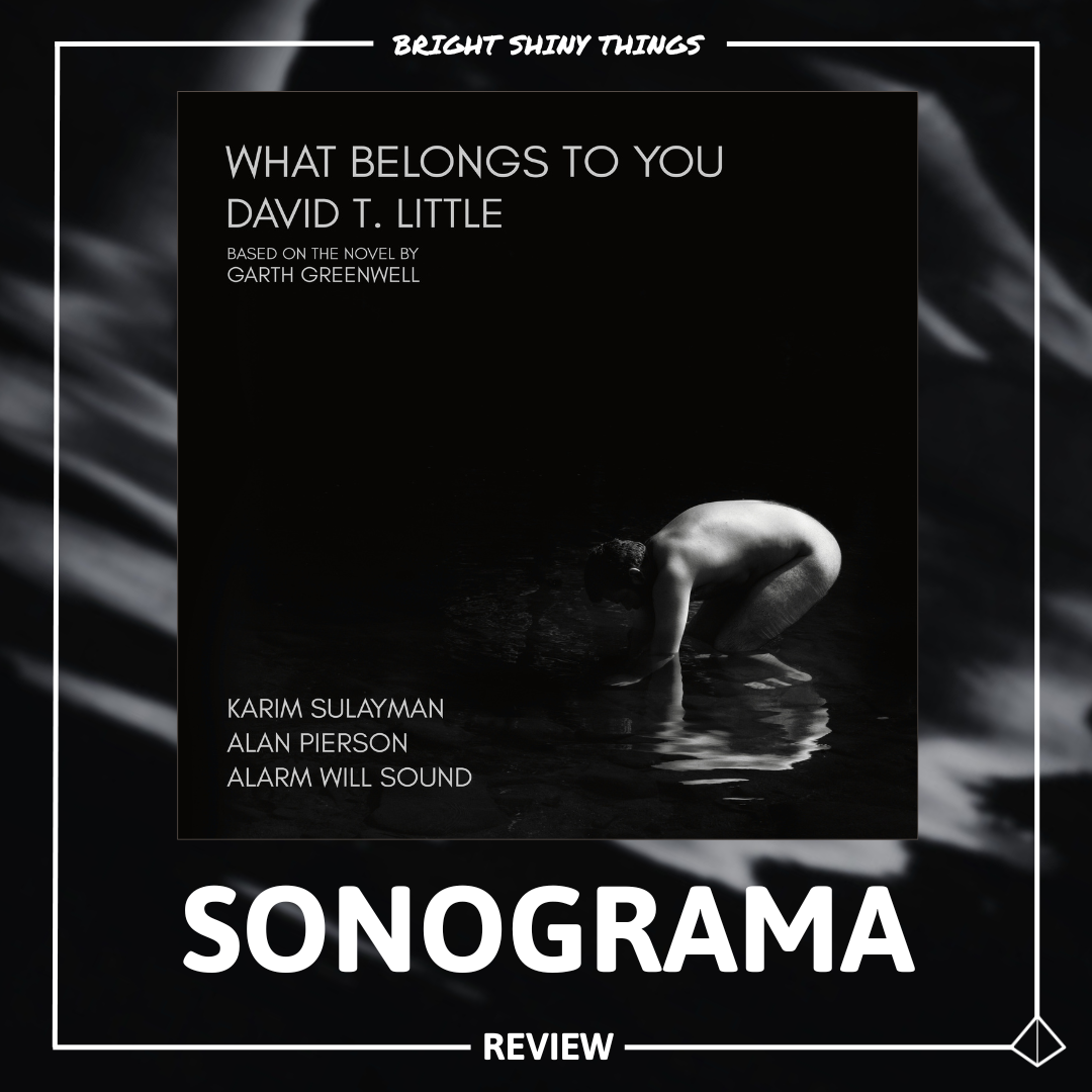 WHAT BELONGS TO YOU | SONOGRAMA - REVIEW