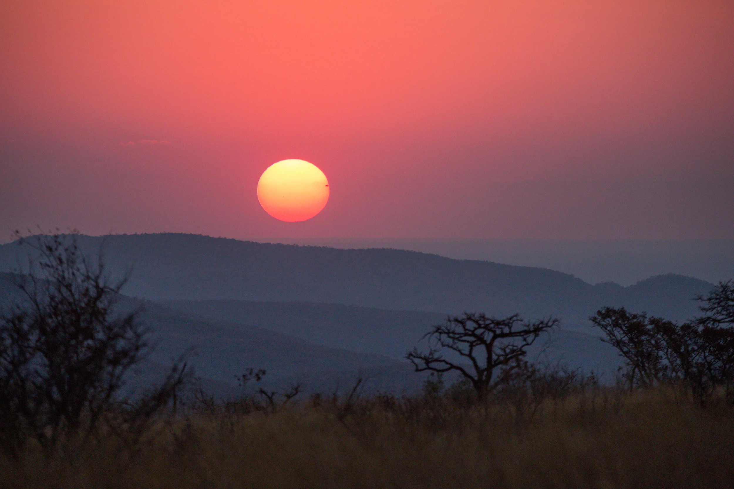 Sinamatella - Rare Earth - Welgevonden - 20170808 - 857.jpg