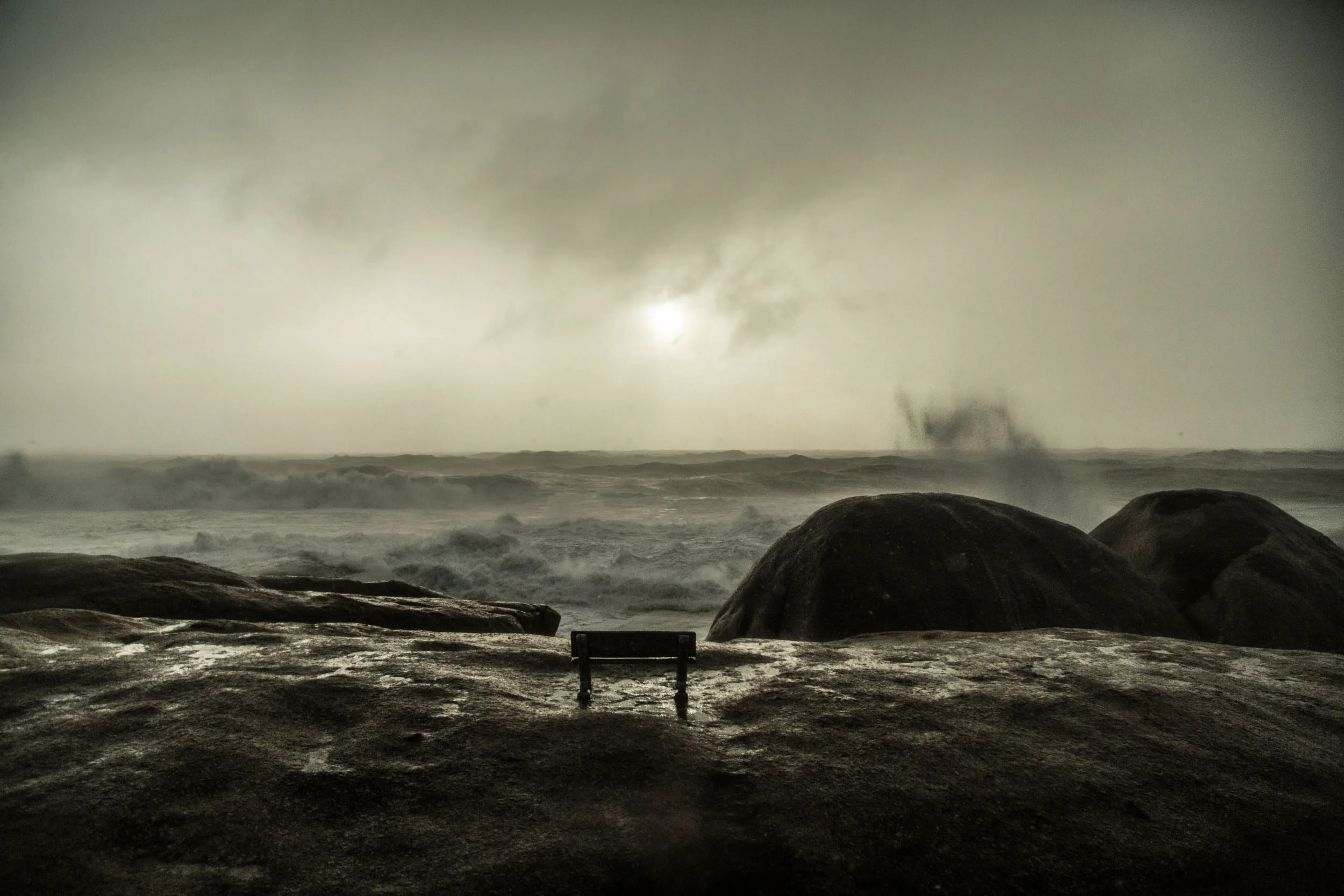 Sinamatella - Cape Storm - 20170607 - 100.jpg