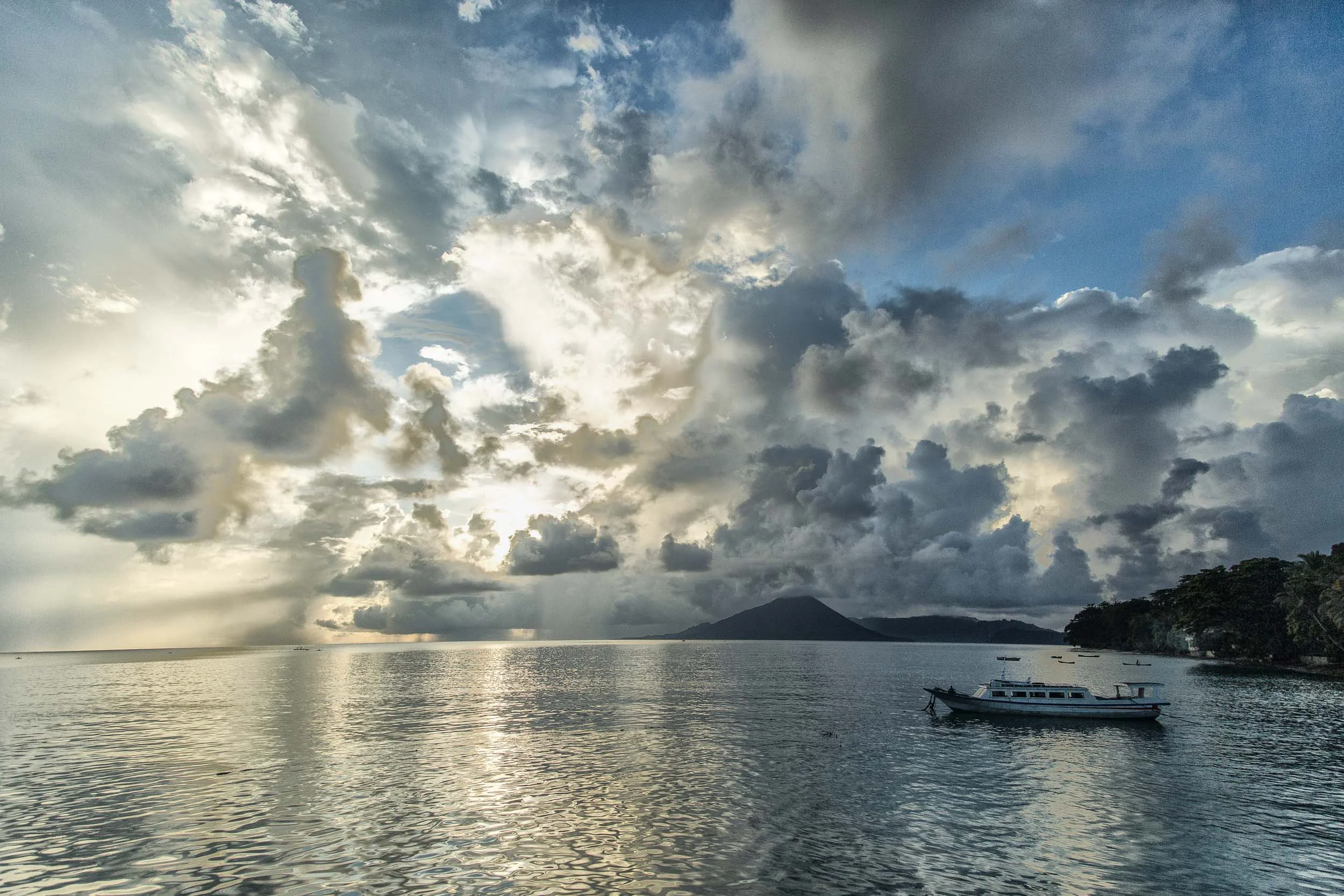 Sinamatella - SE Asia - 20160426 - 2331.jpg