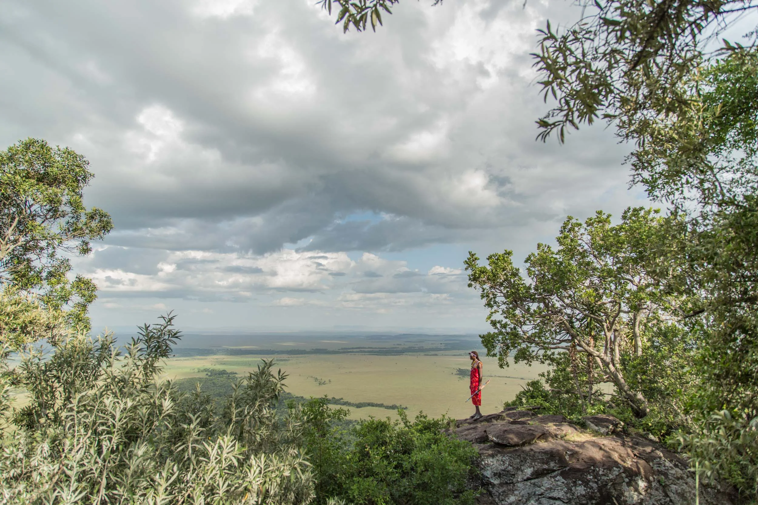 Sinamatella - Angama Mara - 20150701 - 557.jpg