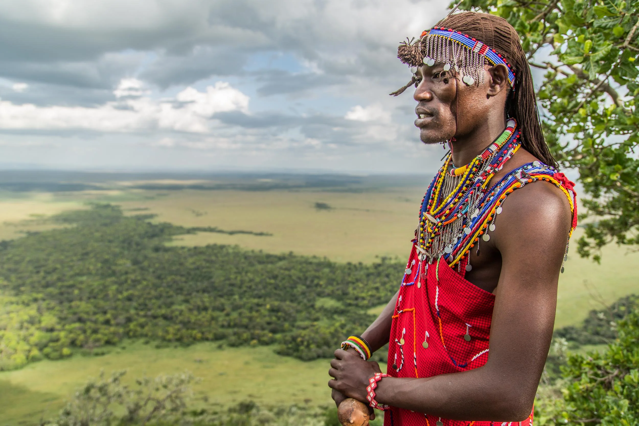 Sinamatella - Angama Mara - 20150701 - 594.jpg