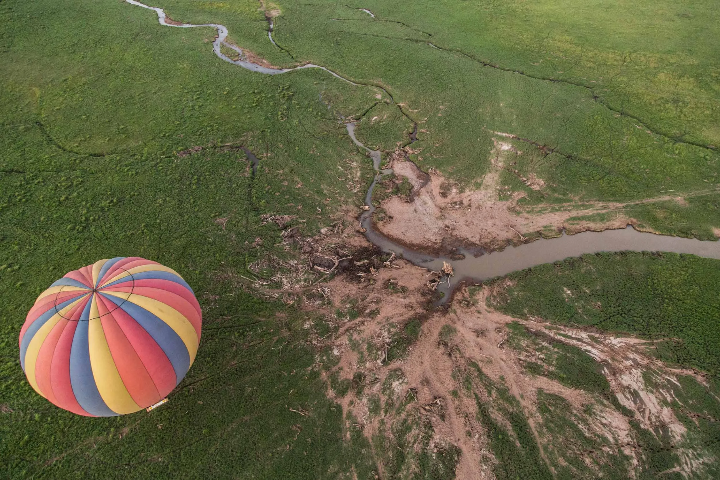 Sinamatella - Angama Mara - 20150702 - 1225.jpg