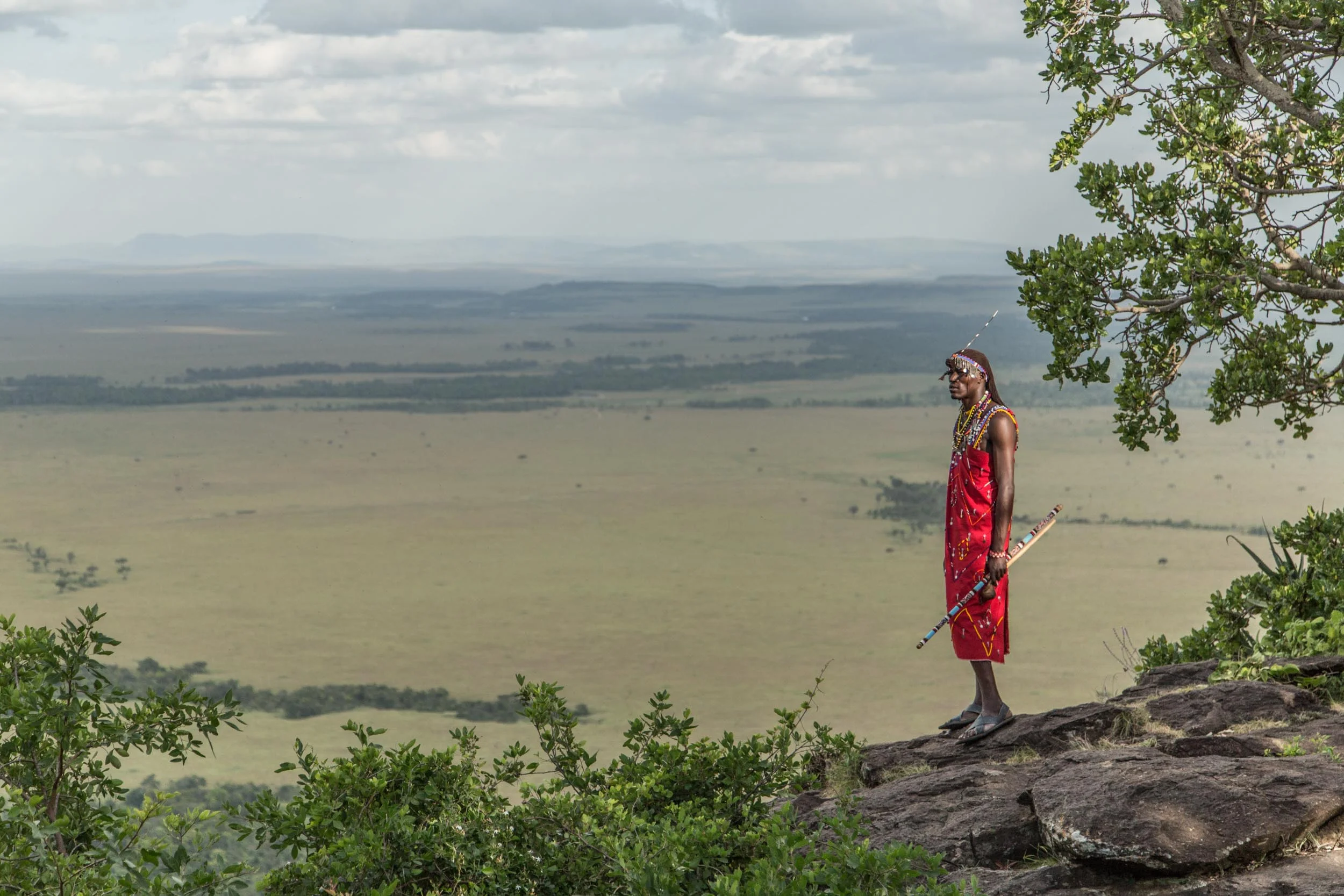 Sinamatella - Angama Mara - 20150701 - 566.jpg
