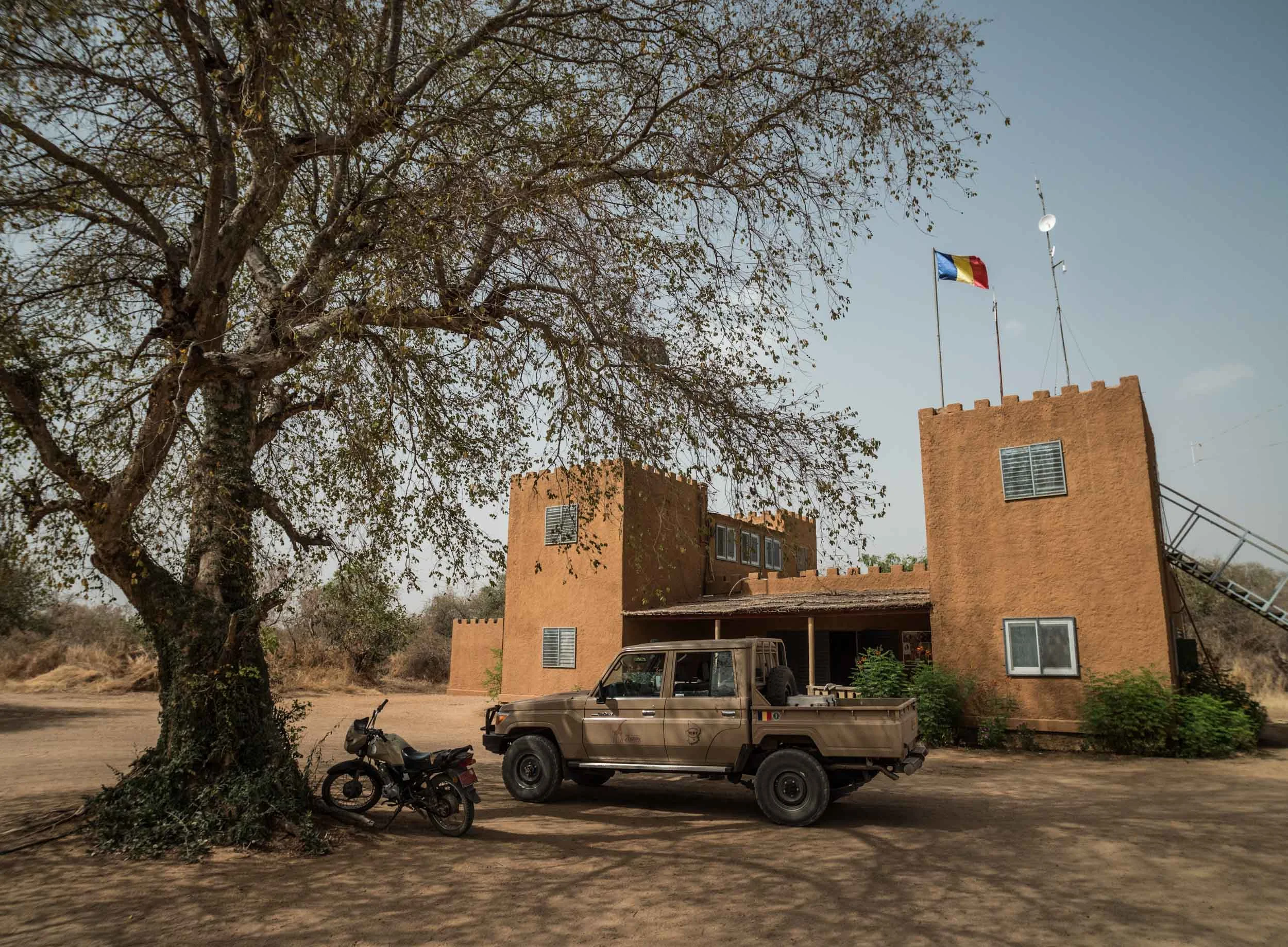 Sinamatella - Chad - Zakouma - 20180305 - 1263.jpg