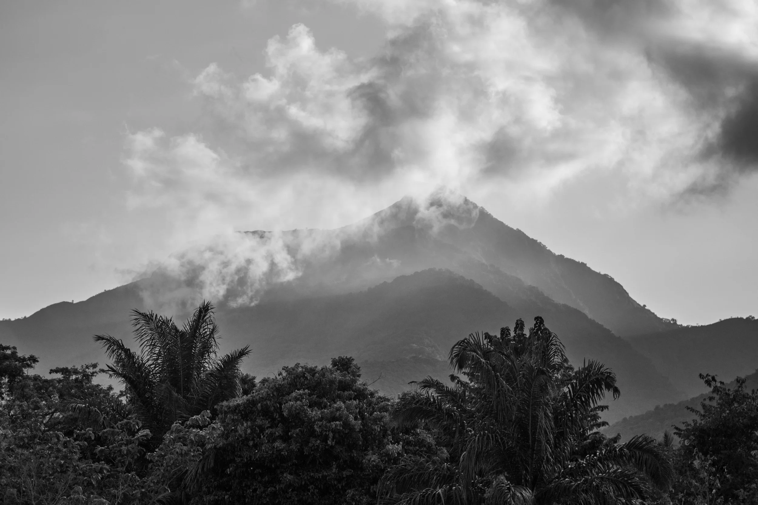 Sinamatella - Tanzania - Mahale - 20180713 - 93.jpg