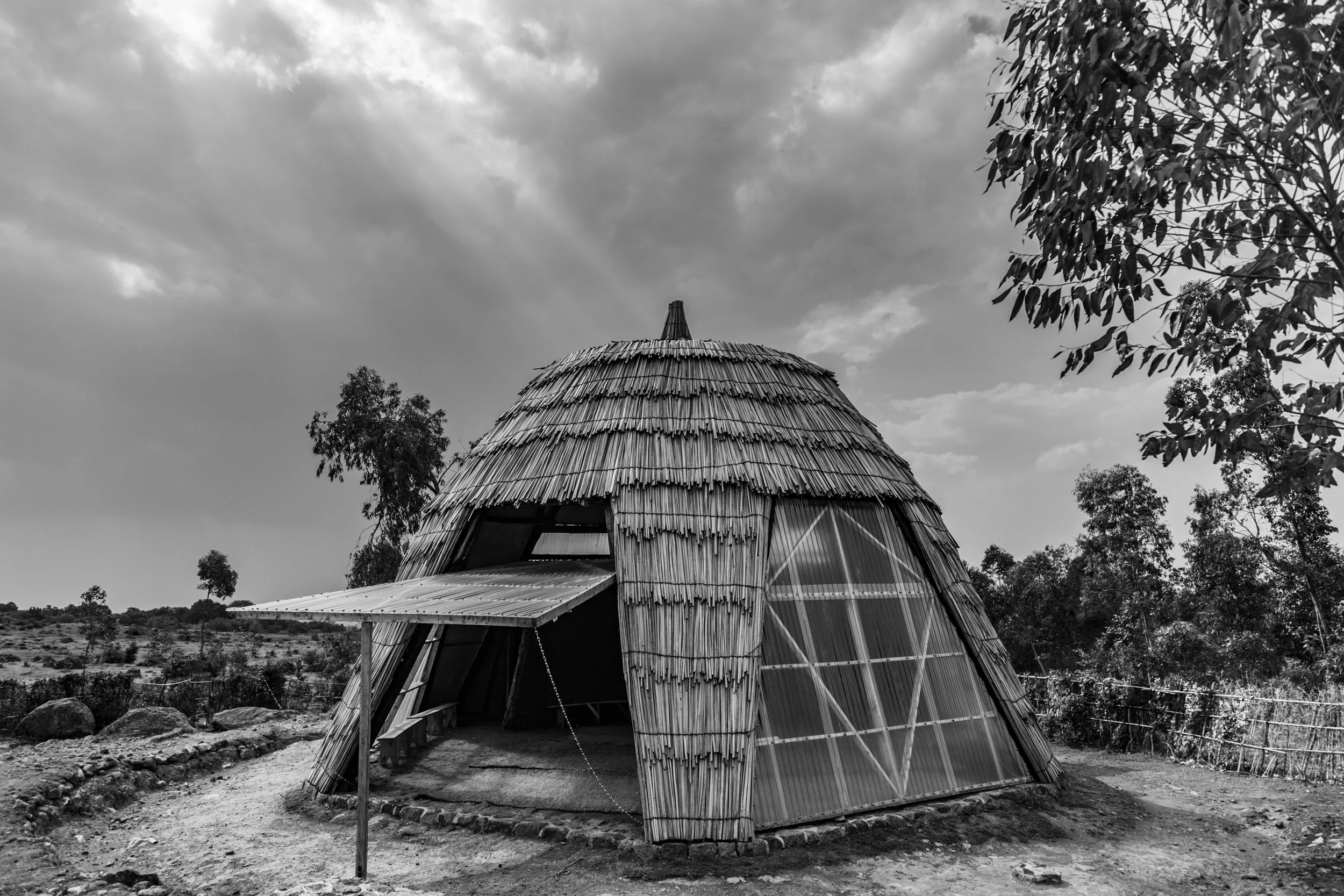 Sinamatella - Uganda - Gahinga - 20180817 - 28-2.jpg