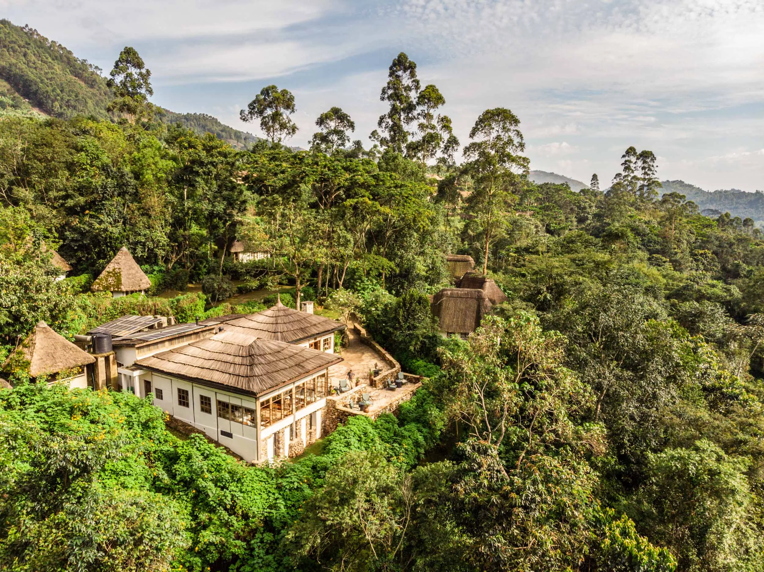 Sinamatella - Uganda - Bwindi - 20180911 - 533.jpg