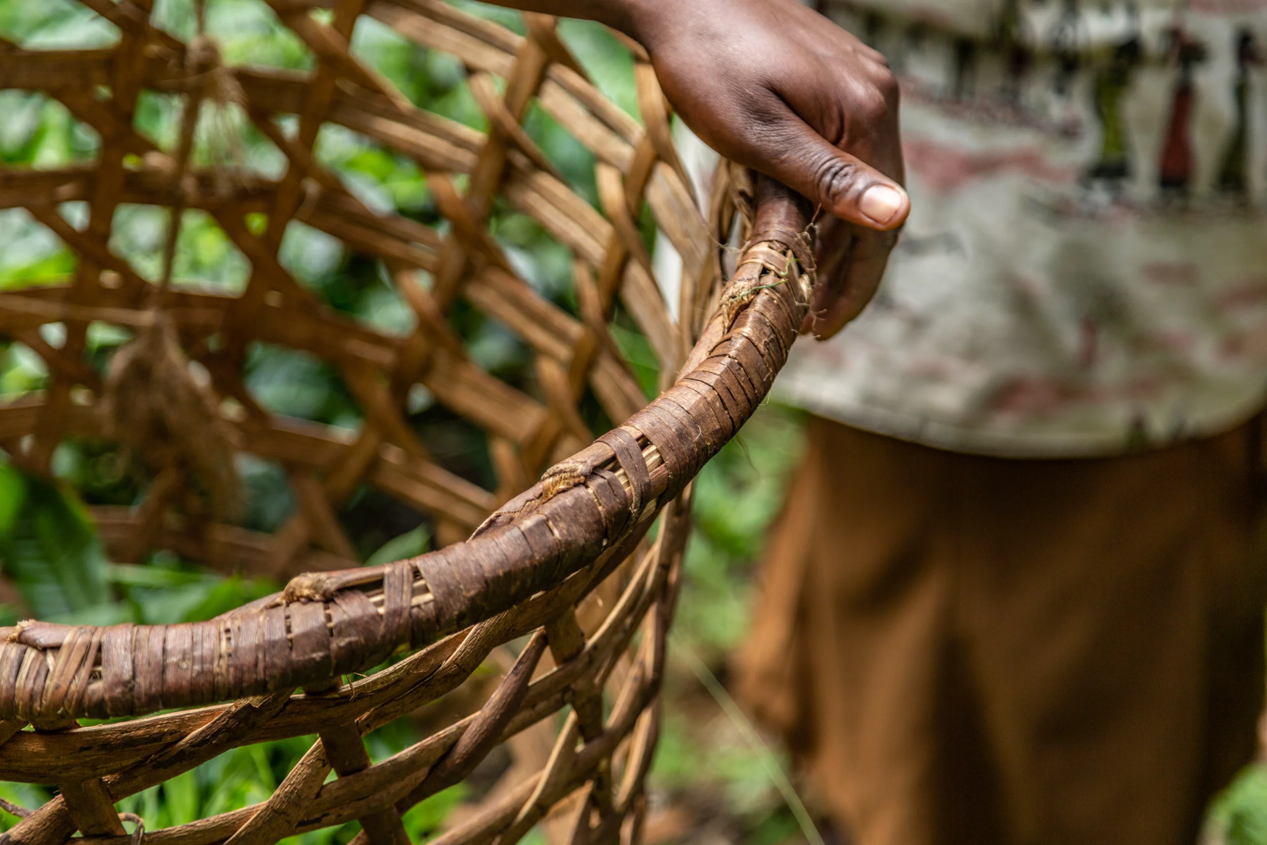 Sinamatella - Uganda - Bwindi - 20180911 - 669.jpg
