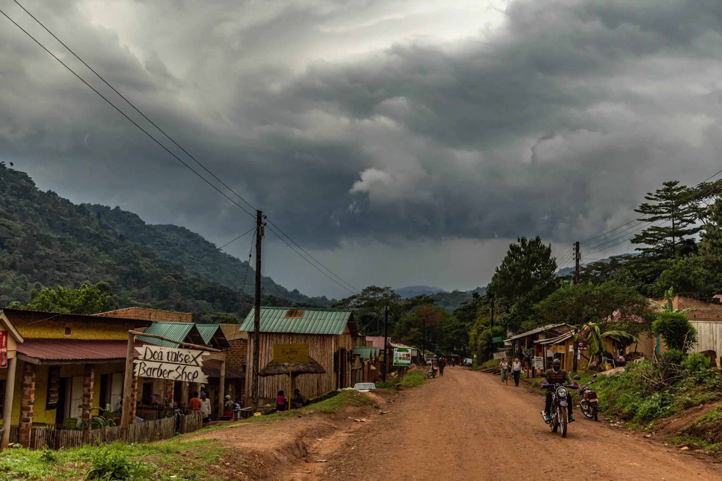 Sinamatella - Uganda - Bwindi - 20180911 - 850.jpg