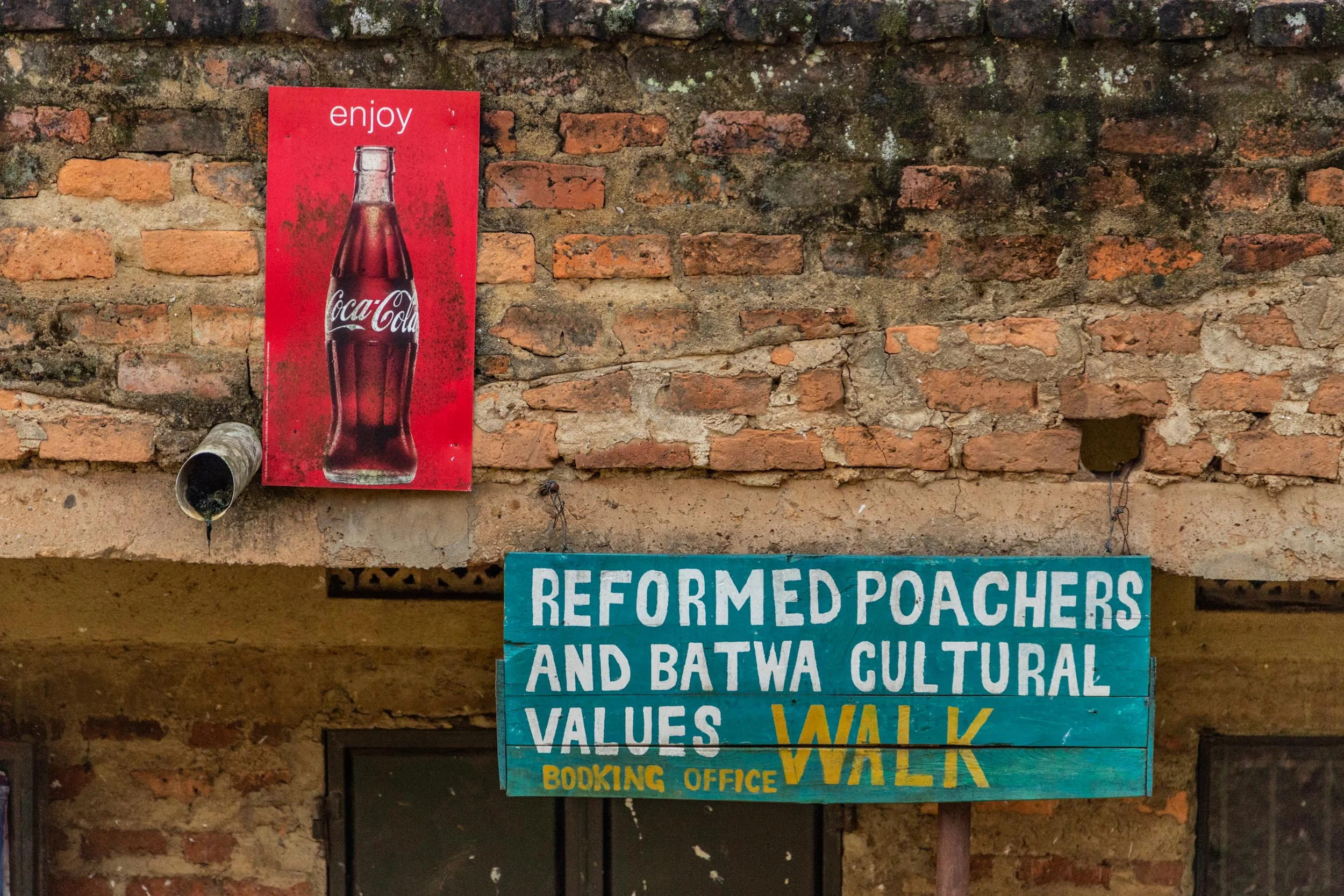 Sinamatella - Uganda - Bwindi - 20180912 - 1060.jpg