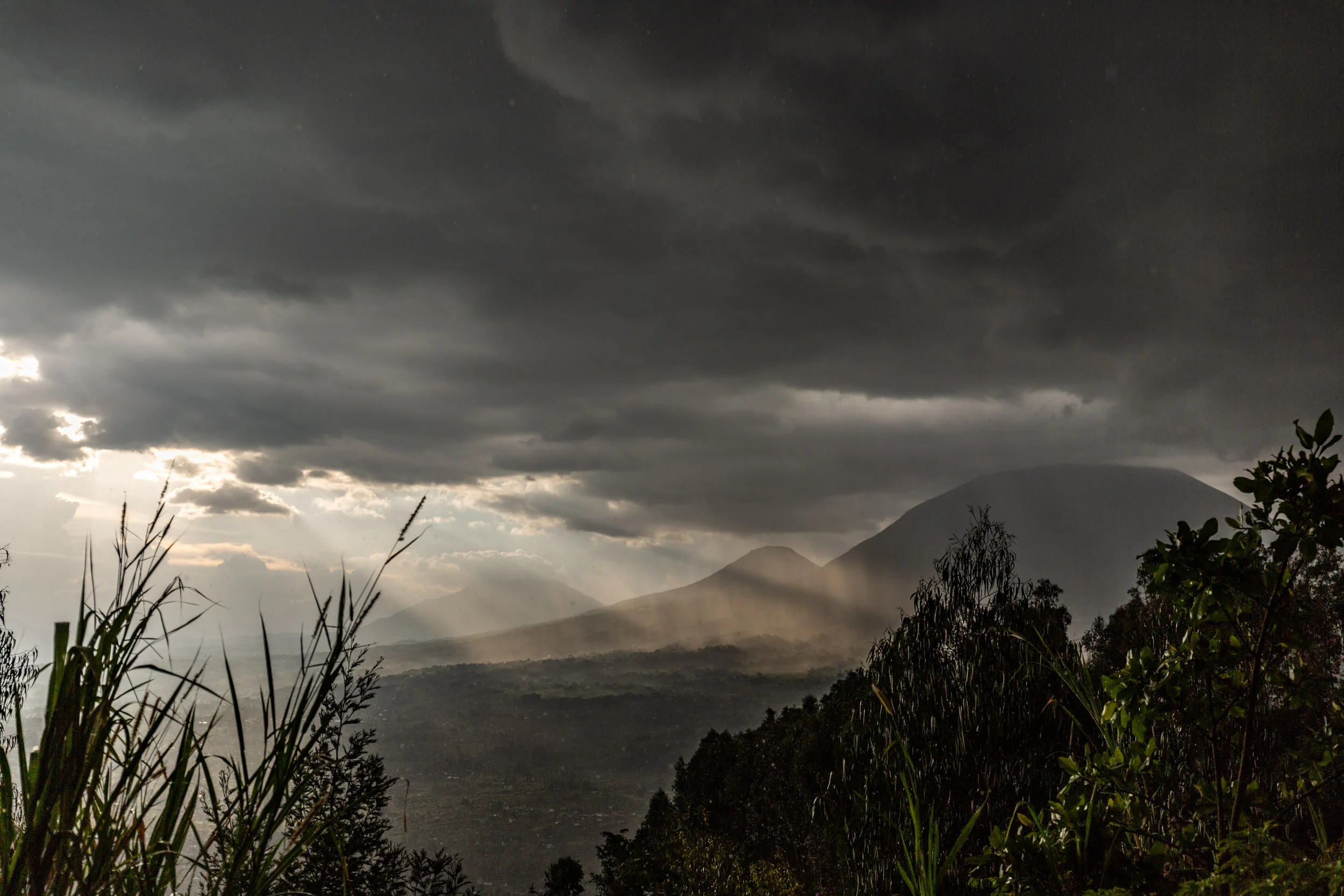 Sinamatella - Rwanda - Virunga - 20180914 - 1035.jpg