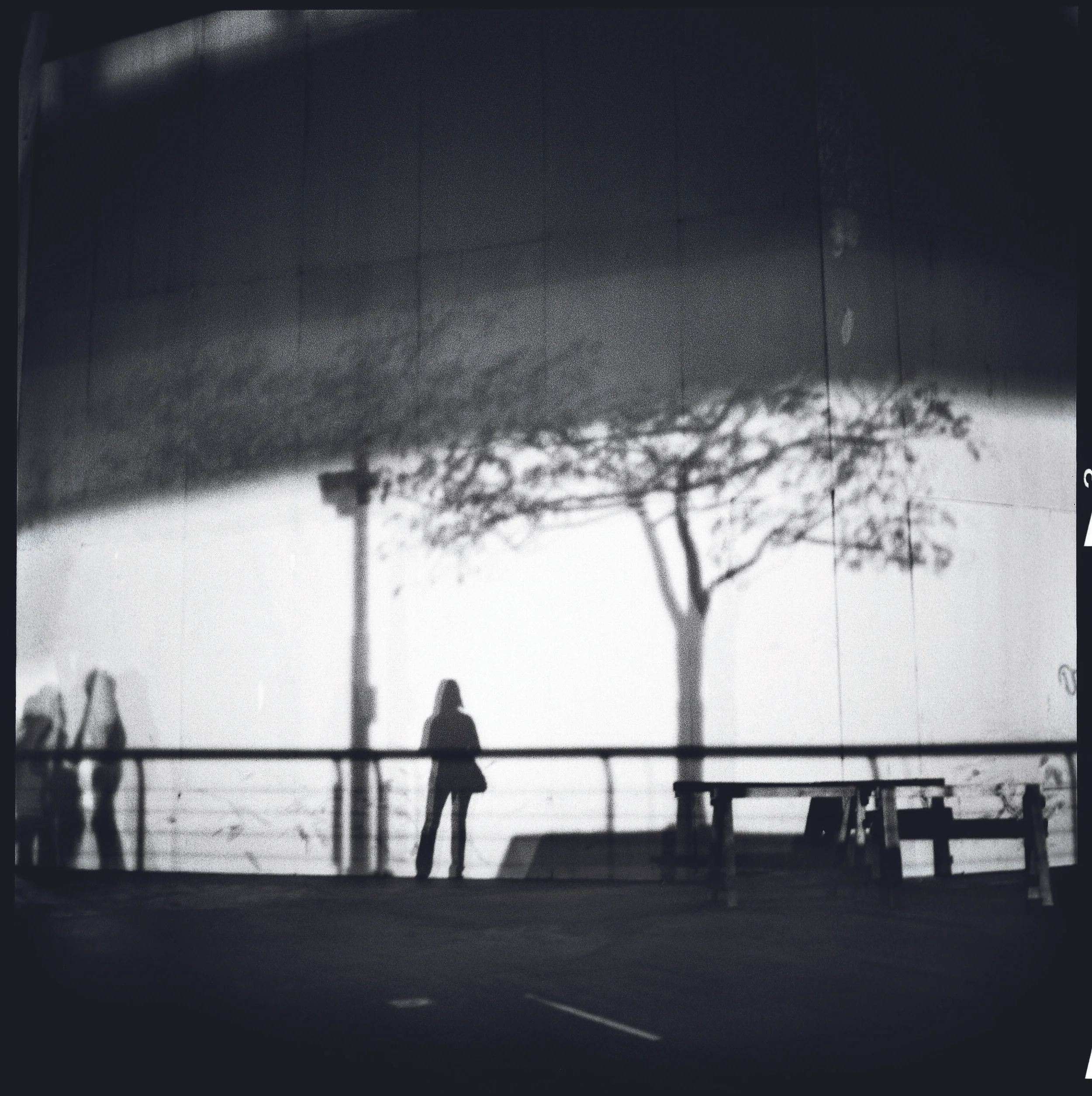 94 - 003 R4 A BP +n BLURB2.jpg