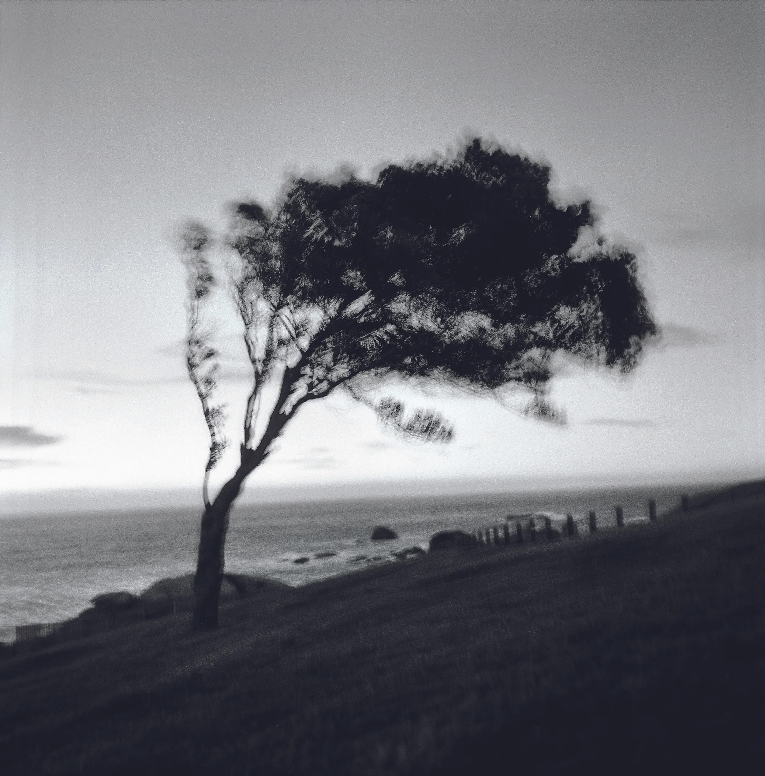 2010-095-04 R renforcé SC clean BP +ncl bis BLURB2.jpg