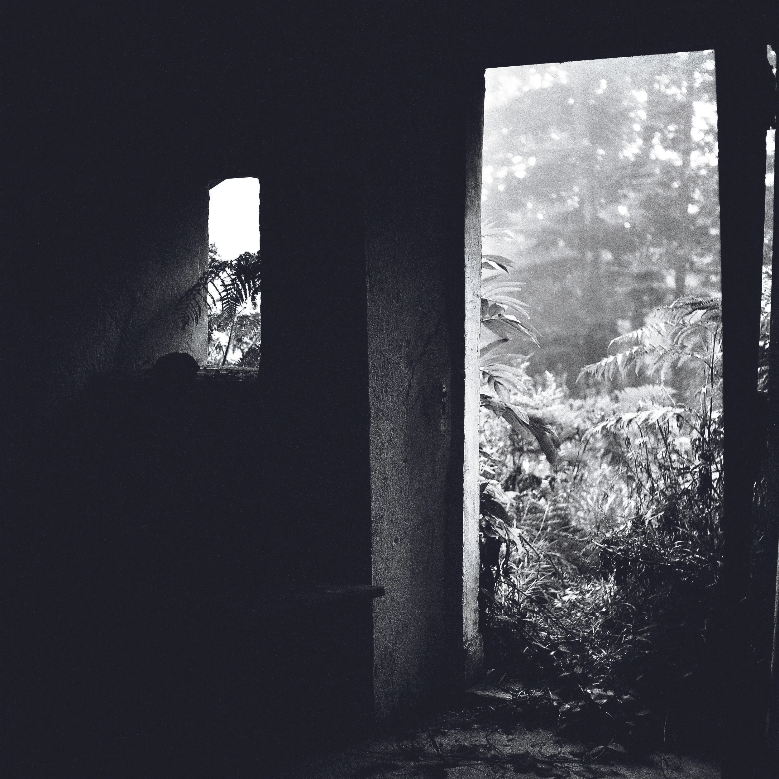 2011-051-07 R2 SCA BP +n BLURB2.jpg