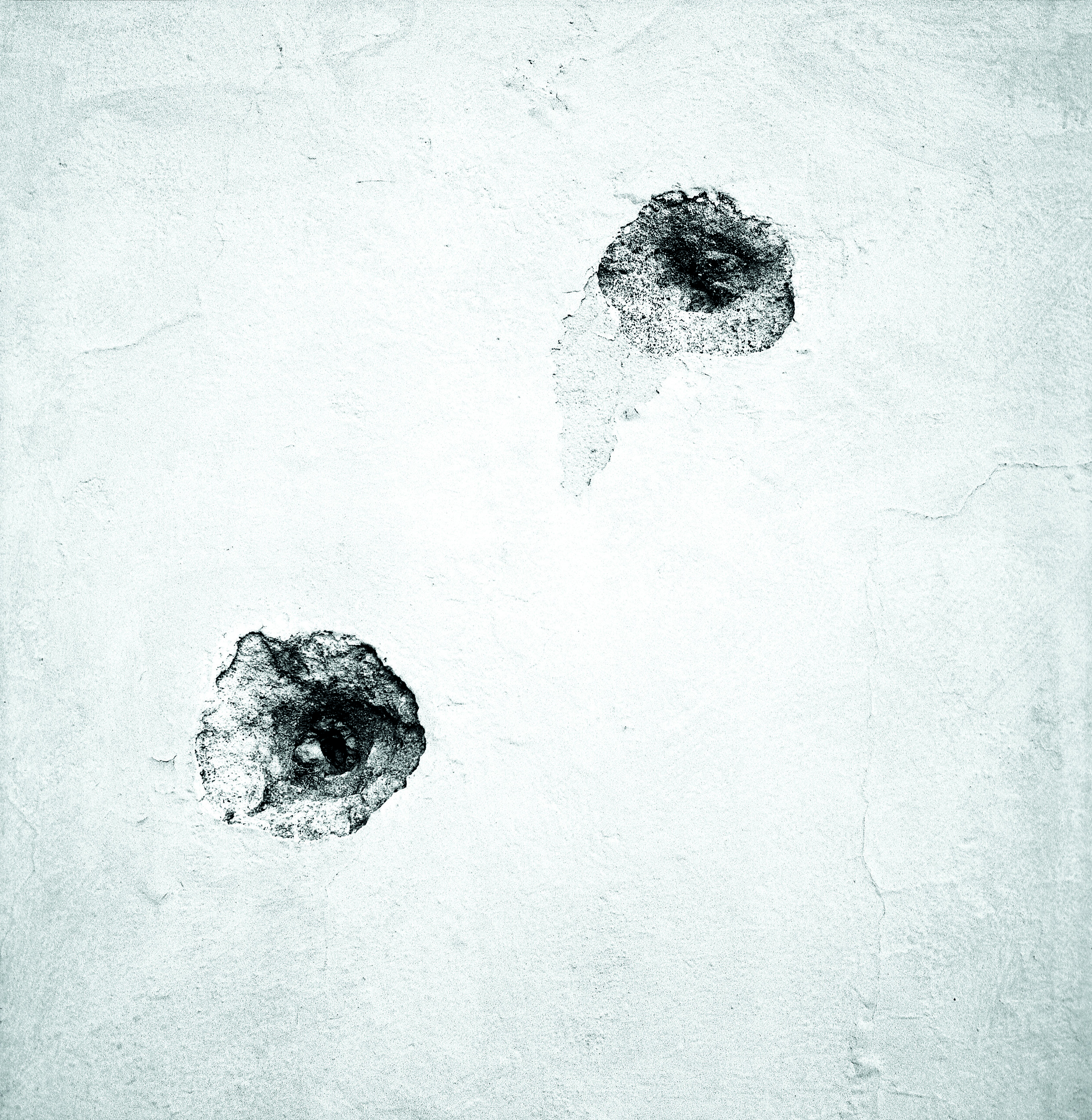 2012-079-11 R2 cc SCA BP -n BLURB2.jpg