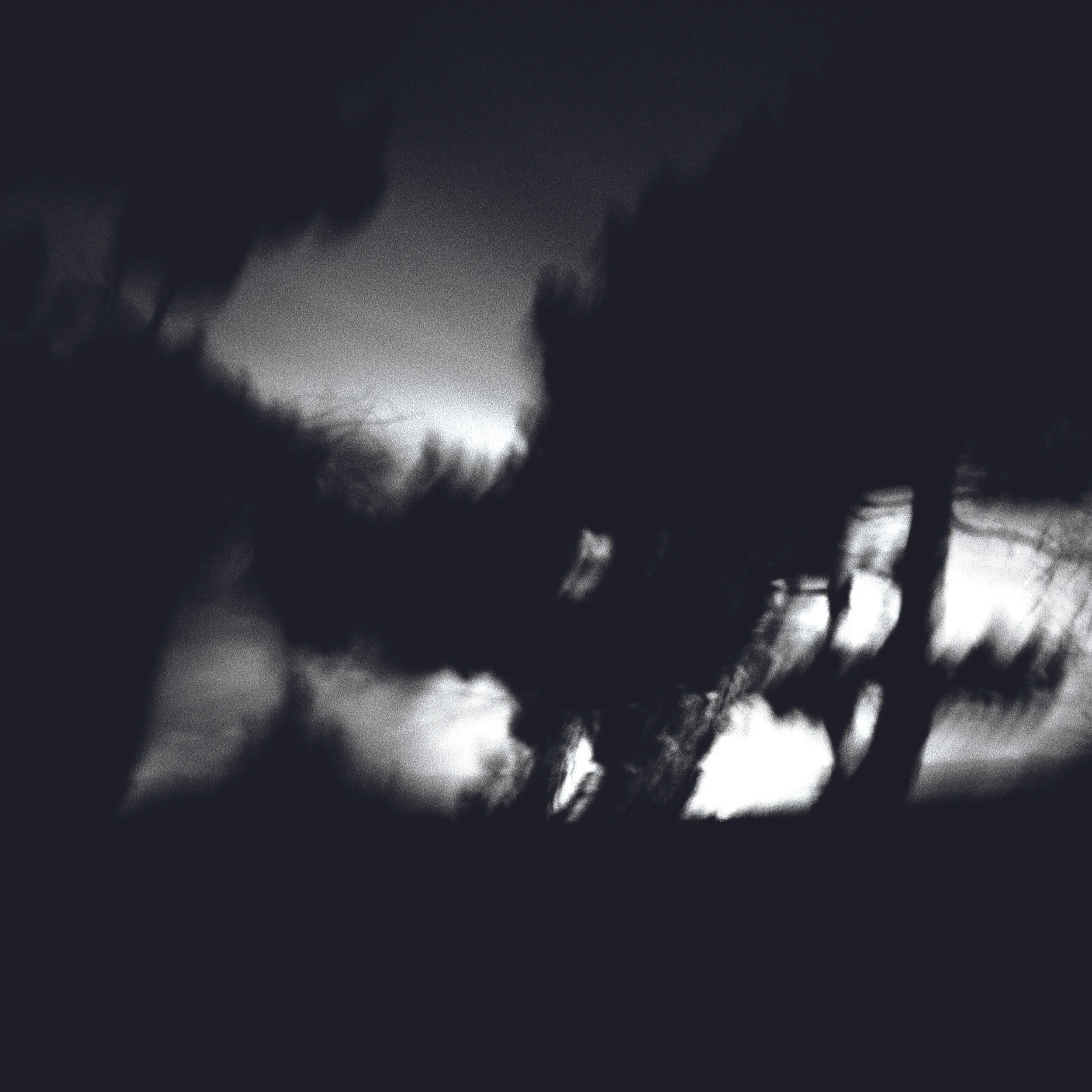 A415 R2 carré SC BP +n BLURB2.jpg