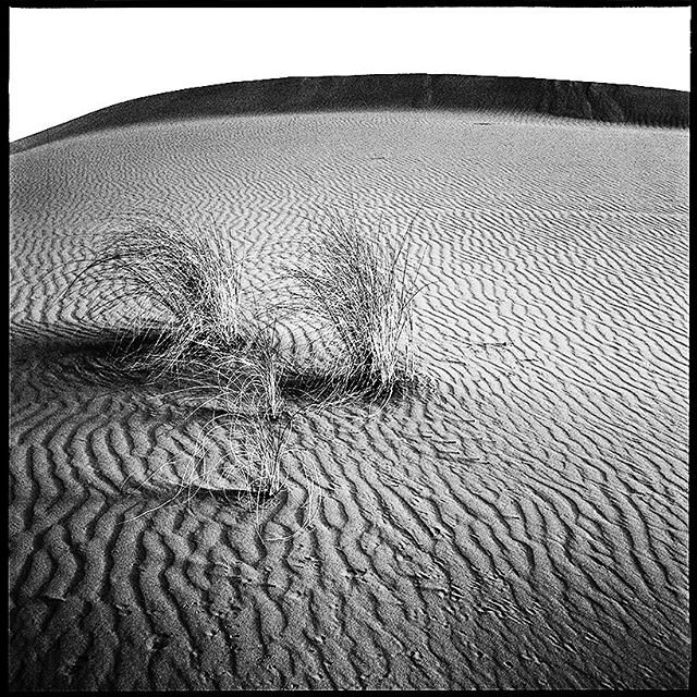 .
J70
#patience #love #disentanglement #humor #blackandwhitefilm #rolleiflex #rollei_analog #bnwphotography #filmphotography #group6x6 #mediumformat #bnw_demand #bnw_rose #blancnoir2 #bnwmagic #bnw_lightandshadow #bnwzone #believeinfilm #fineartphoto