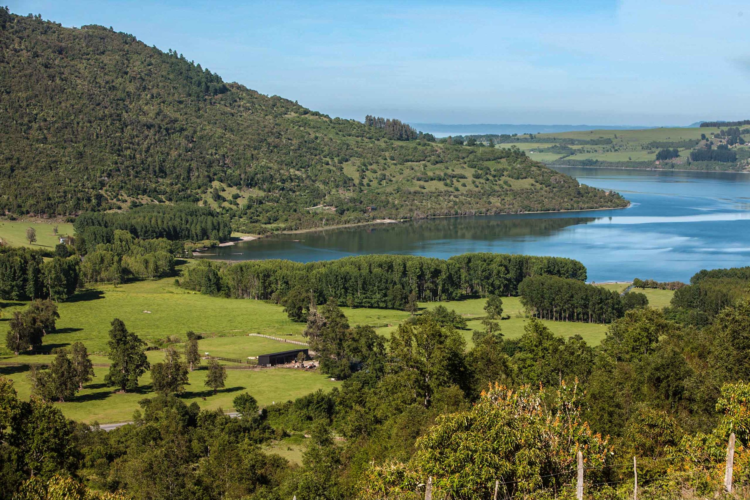  Lago Ranco vineyard, Casa Silva |&nbsp; ©John Szabo (published by Jacqui Small)  