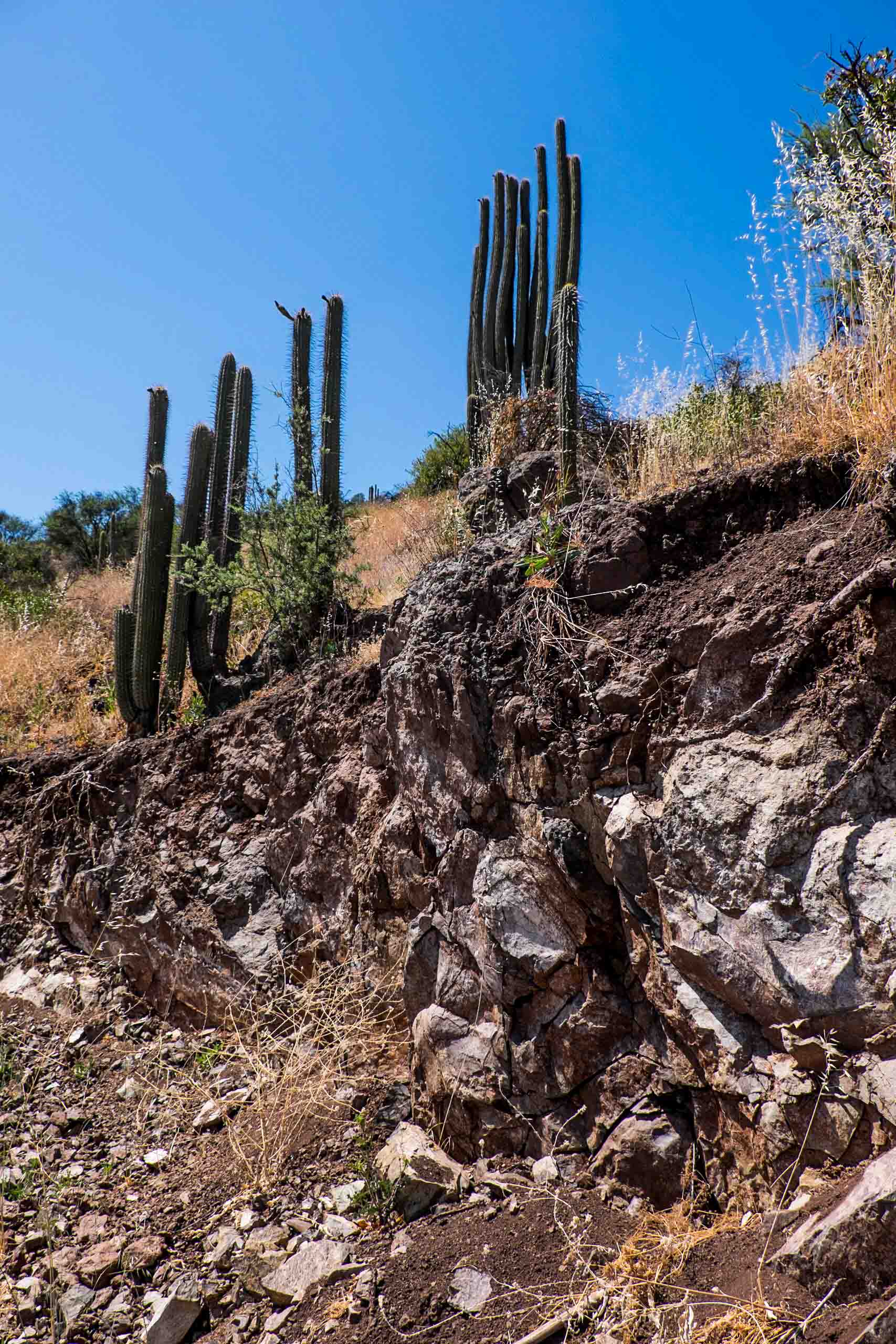  Santa Carolina Piedras Pizzaras vineyard, exposed volcanics |&nbsp; ©John Szabo (published by Jacqui Small)  