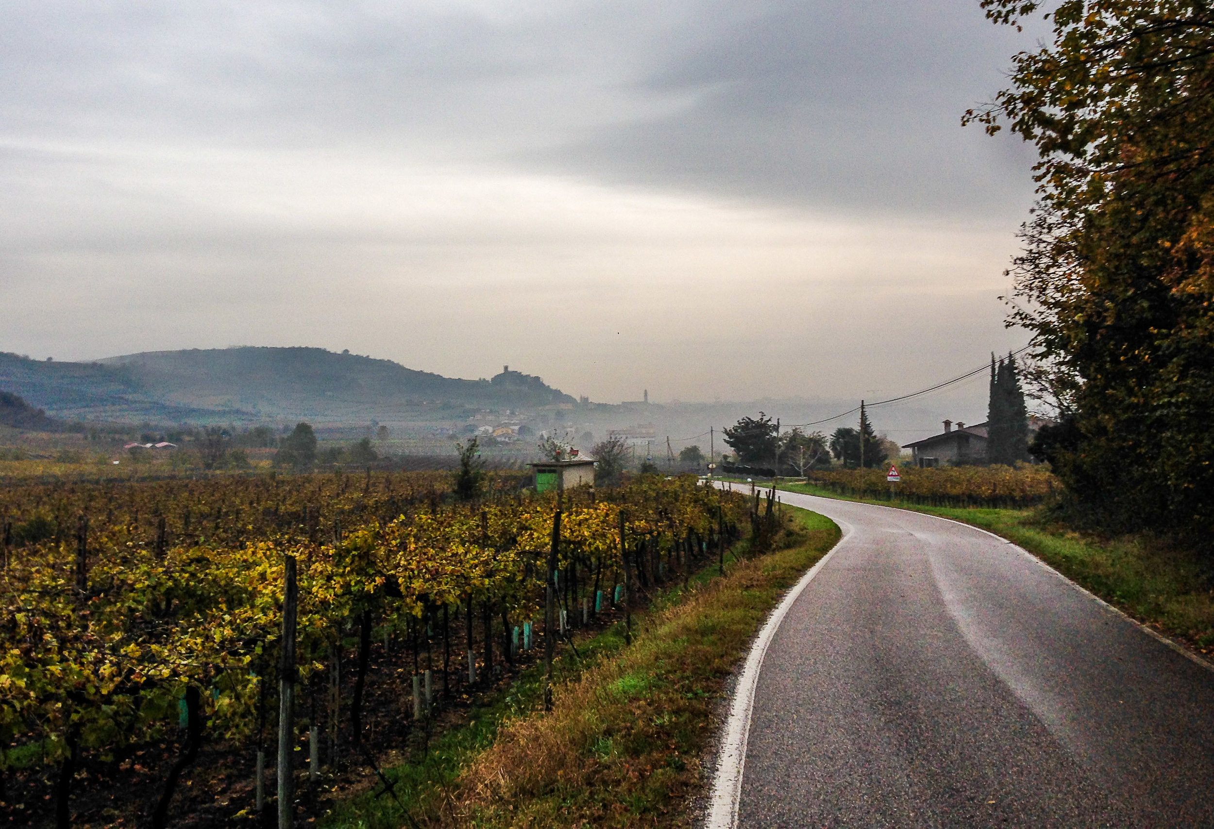  Road to Soave |  ©John Szabo (published by Jacqui Small)  