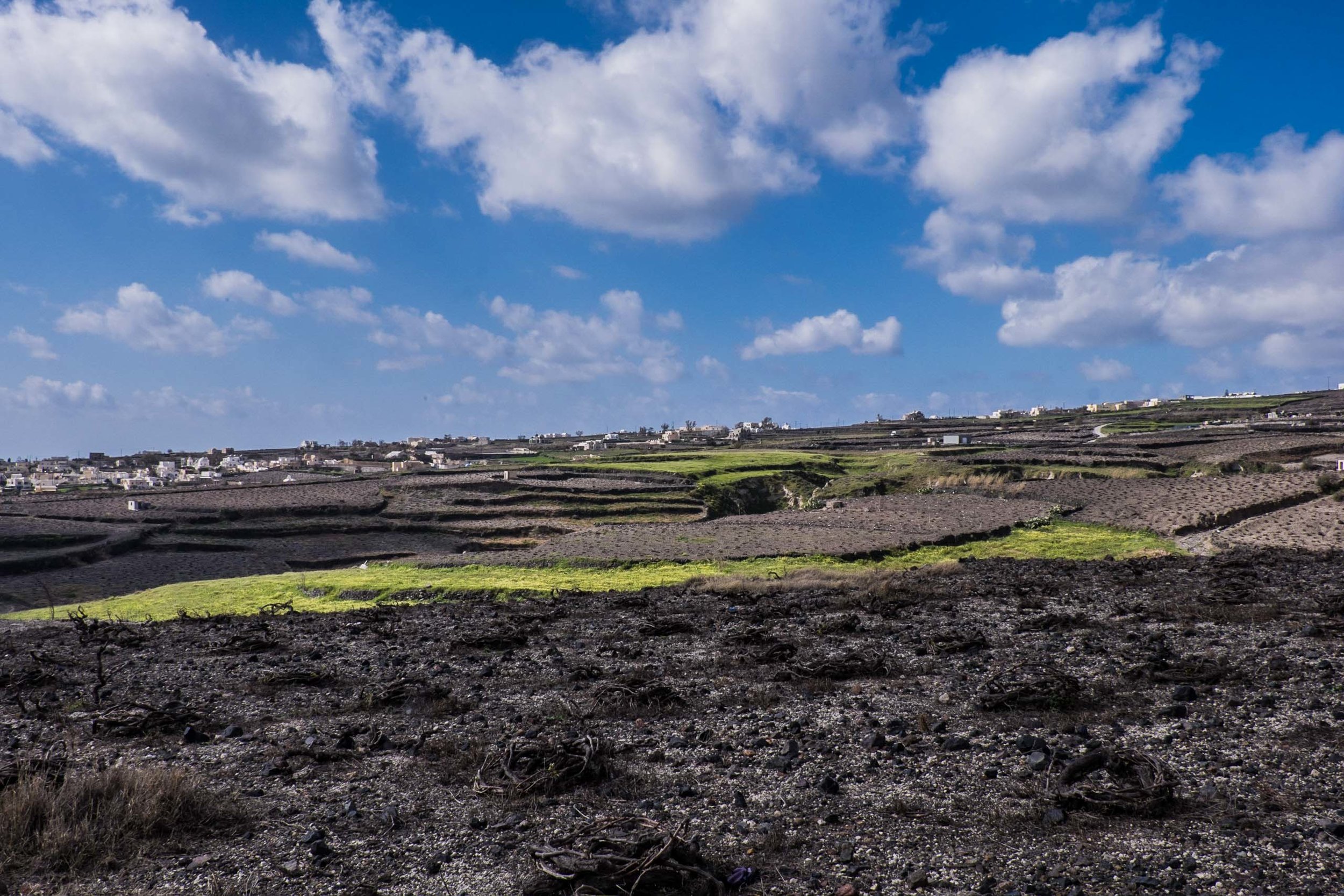  Vineyards, southern Santorini |&nbsp; |&nbsp; ©John Szabo (published by Jacqui Small)  