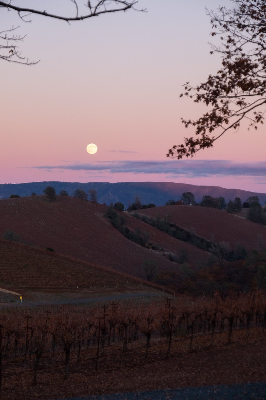  Moonrise over vineyards, High Valley | ©John Szabo (published by Jacqui Small) 