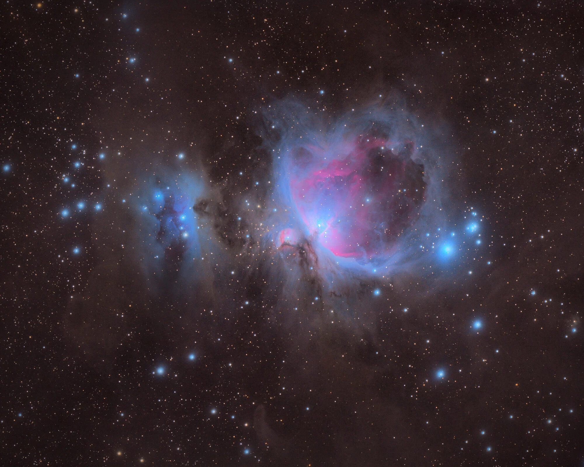 M42-Redux-2000PXv2.jpg