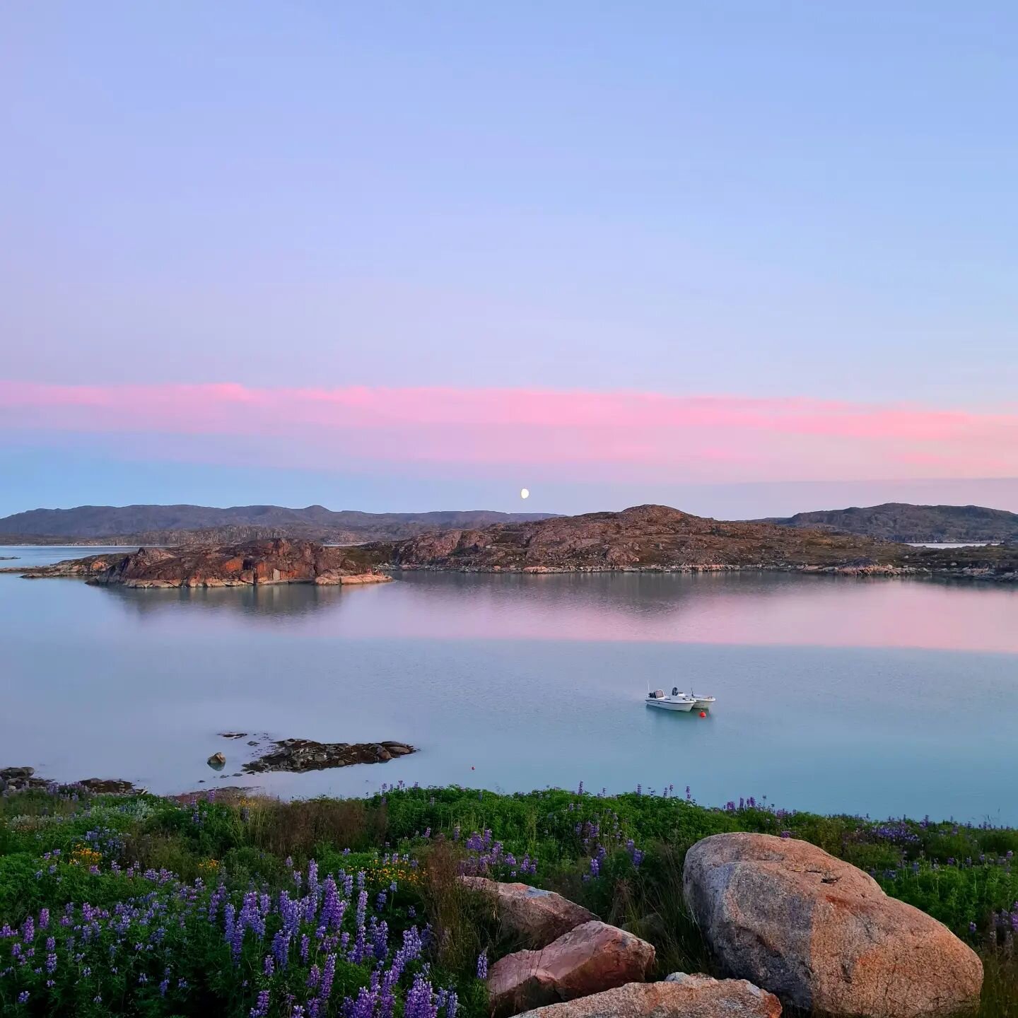 Summer evenings here are magical ✨️✨️

&mdash;&mdash;&mdash;&mdash;&mdash;&mdash;⁠⠀
⁠⠀
Choose adventure.⁠⠀
Experience life on the frontier at Greenland's only reindeer station. ⁠⠀
Hiking, glacier and wildlife tours.⁠⠀
www.wildgreenland.com⁠⠀
⁠⠀
@wild