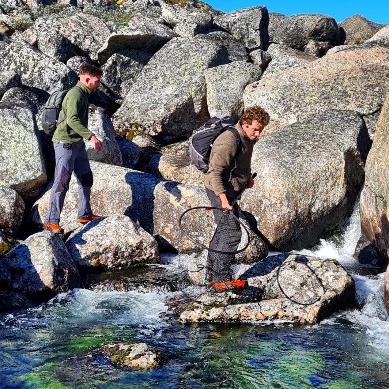 Catching Char, smoking Char, and the best bit, eating Char!

We'll be doing this on our Wild Food &amp; Survival course next summer.

Who wants to join? 

🙌🙋🔥🐟

.
.
.
.
.
.
.
.
.
.
.
.
.
.
.
.
.
.

#greenland #greenlandpioneer
#wildernessskills #