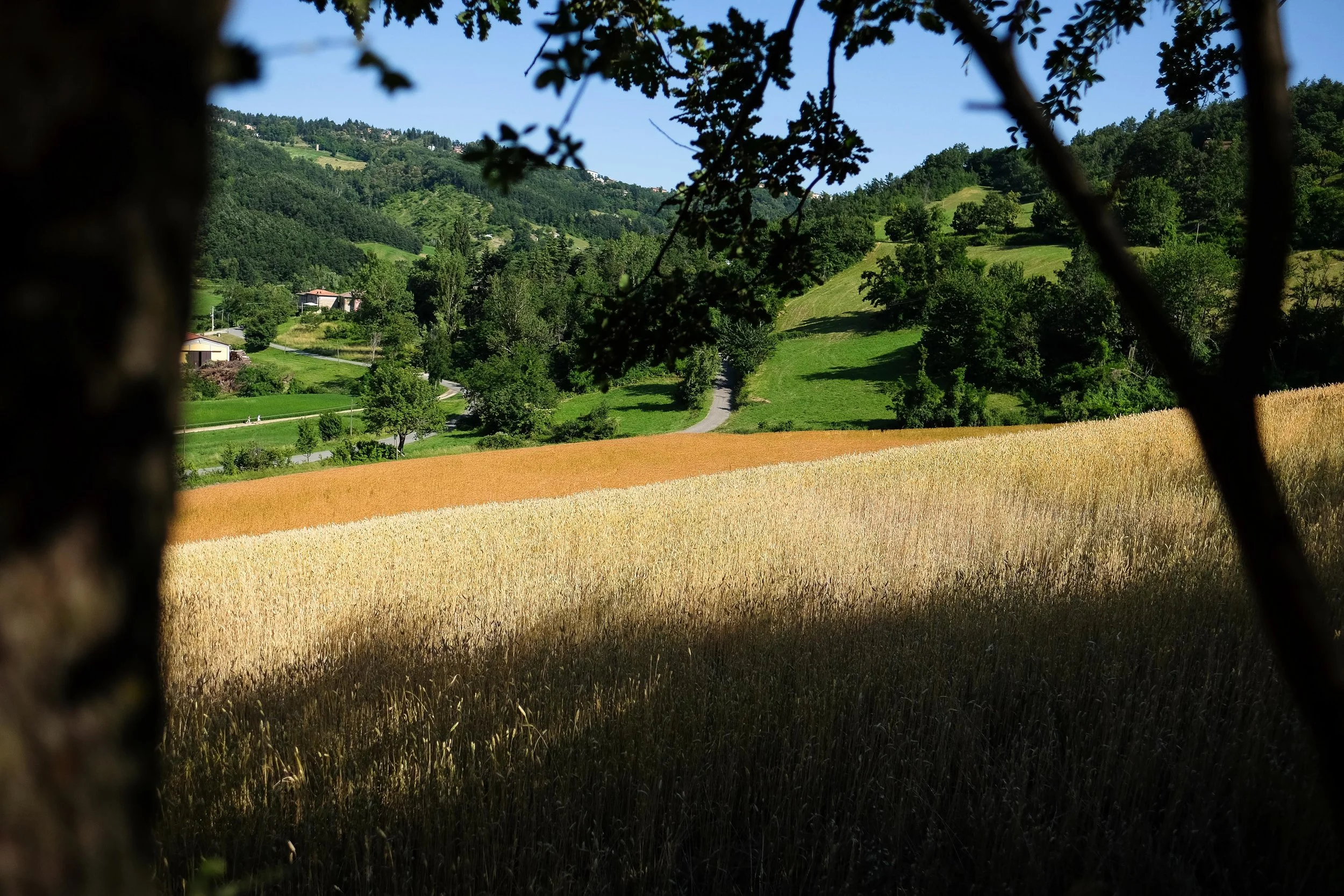 LA FIDUCIA: UNA PAROLA NUOVA