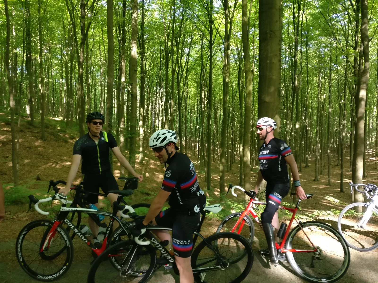 Hallerbos of zomerse cyclocross!