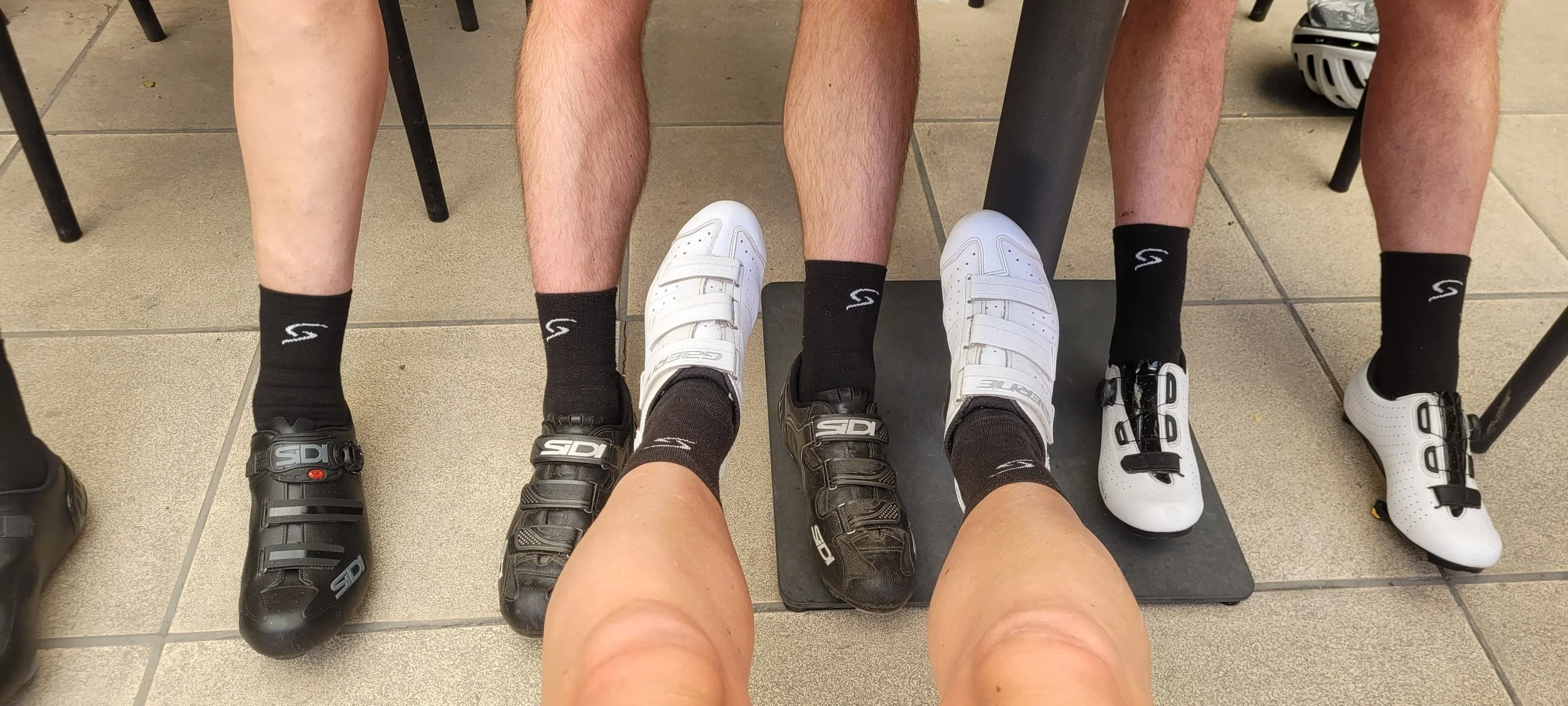 De Beren van Beersel