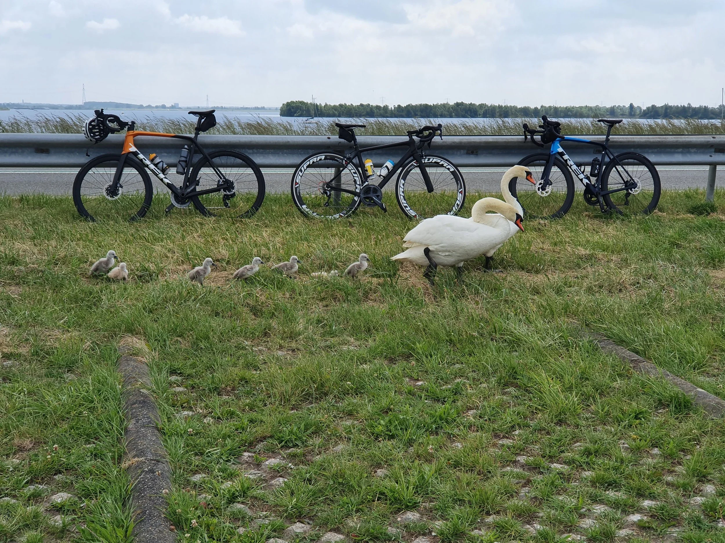 Zeeland Dag 1 : wind, water en WTC