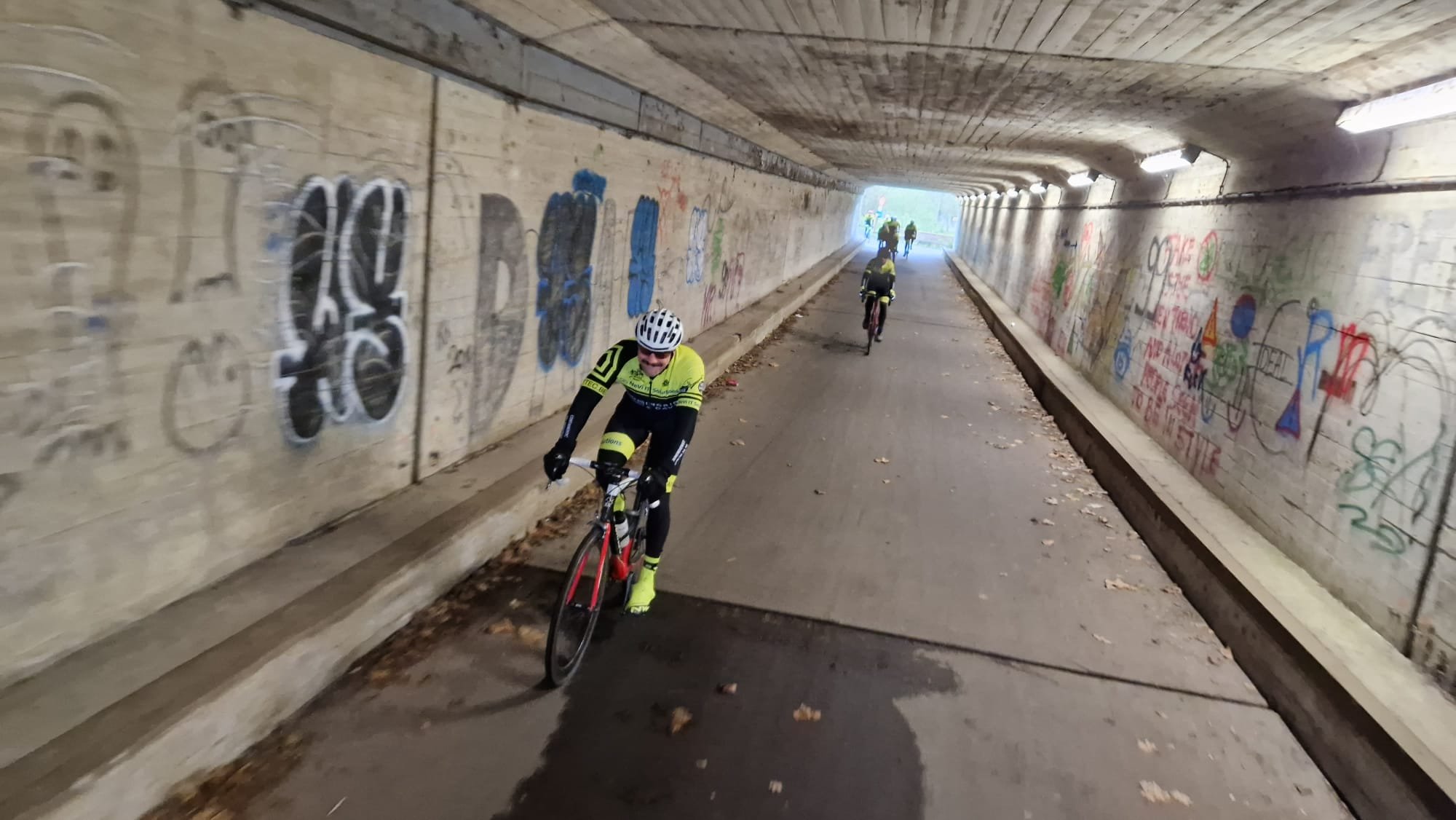 De Beren van den Berendries