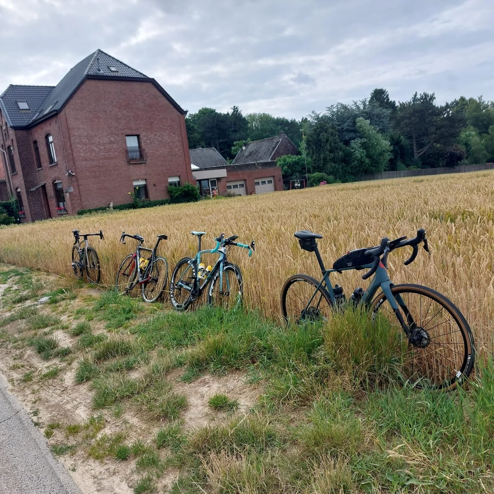 Remco’s velleken