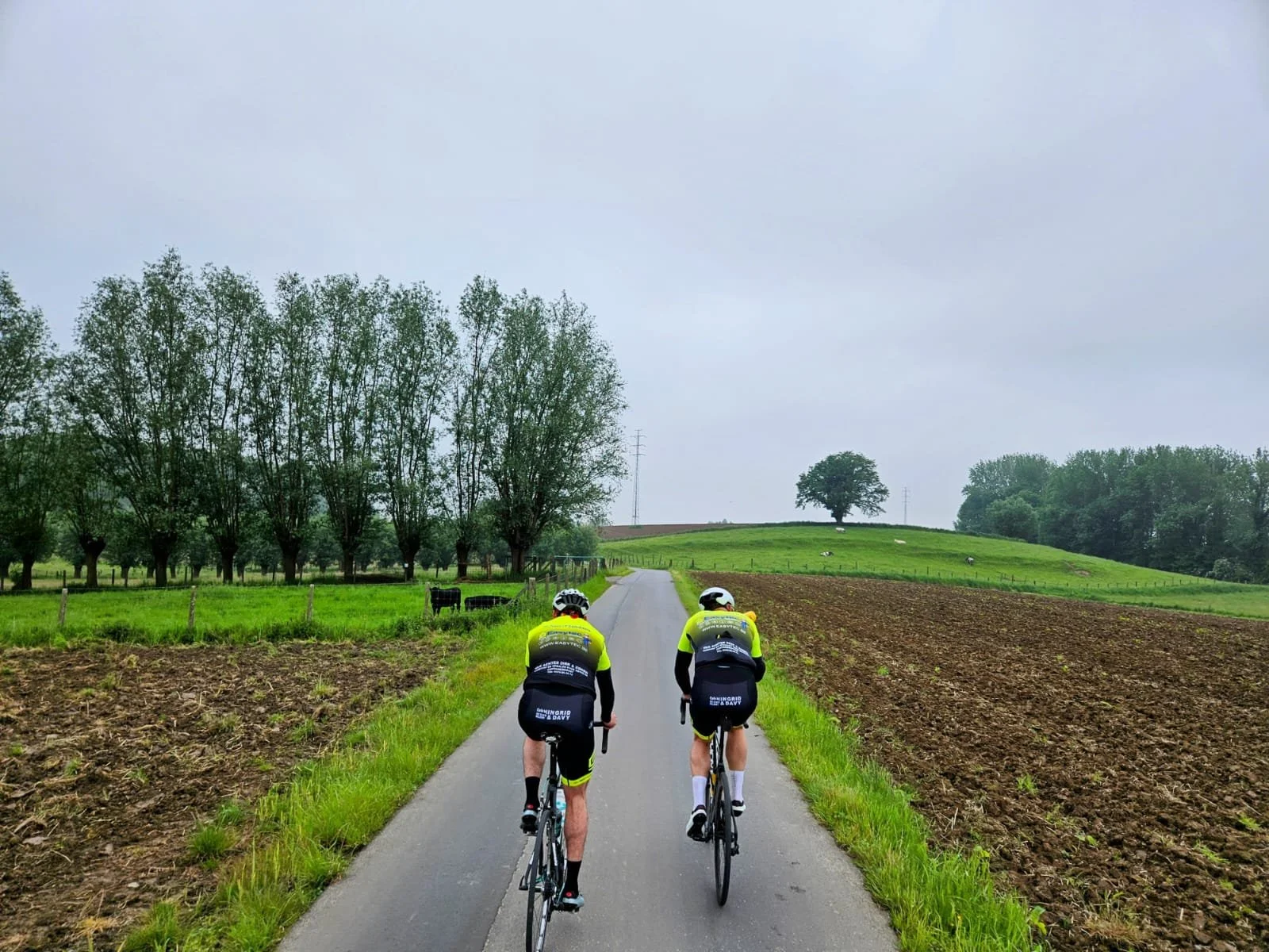 De koers in de koers