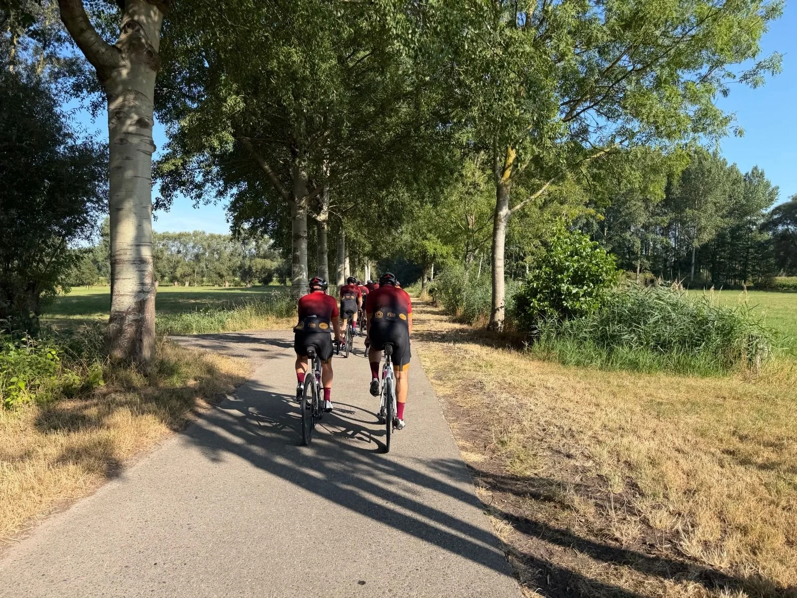 WTC De Faluintjes goes international!