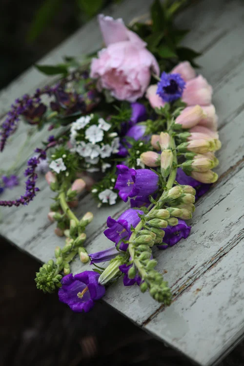 GingerFlynn_Flowers_04.jpg