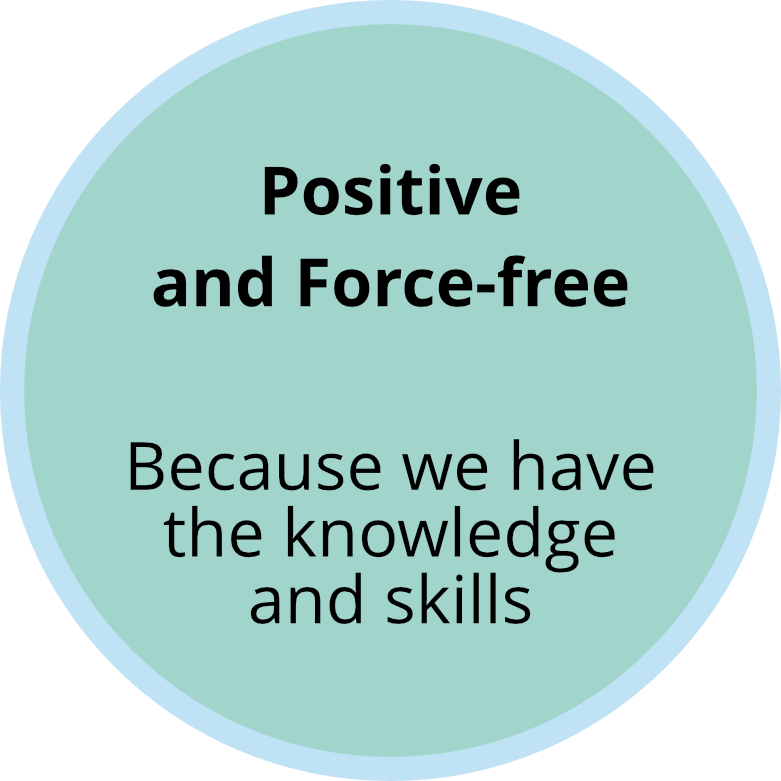 Positive.png