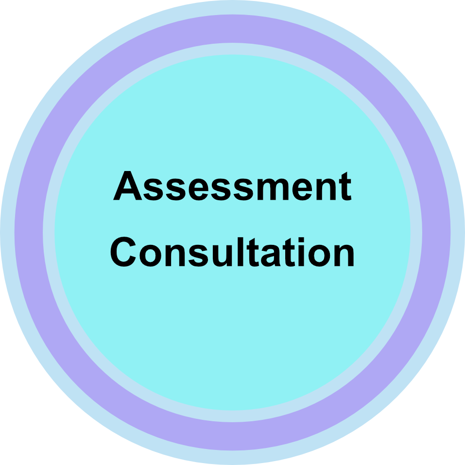 Assessment Consult.png