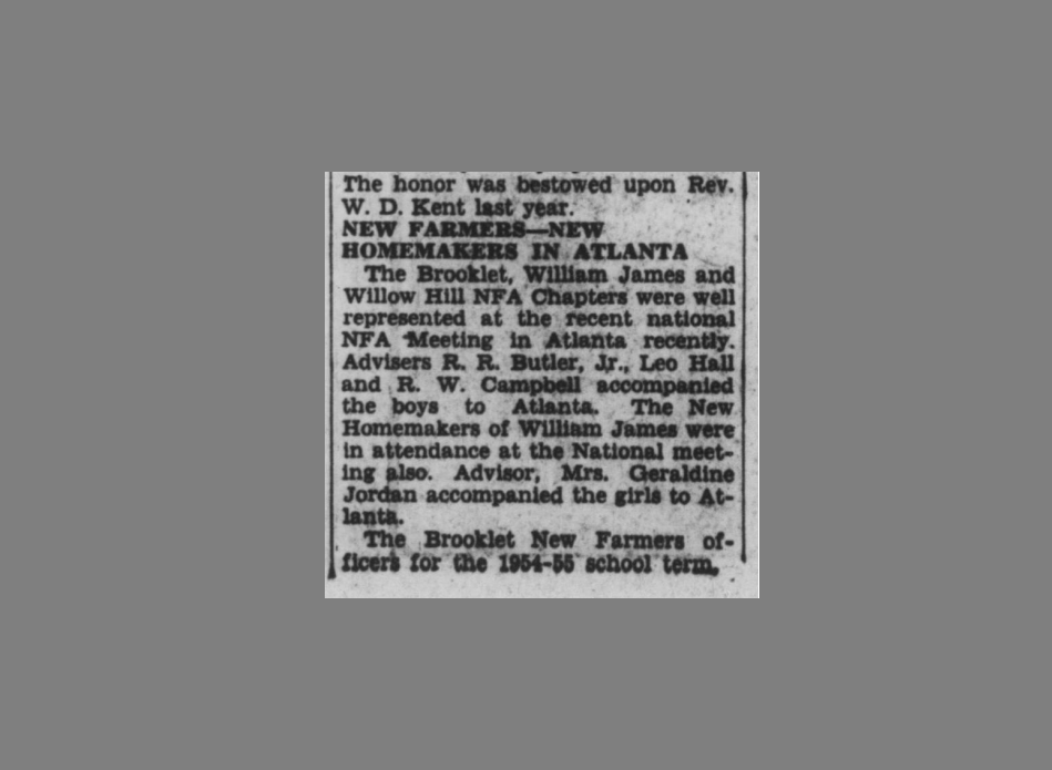 wns_10081954_3.png