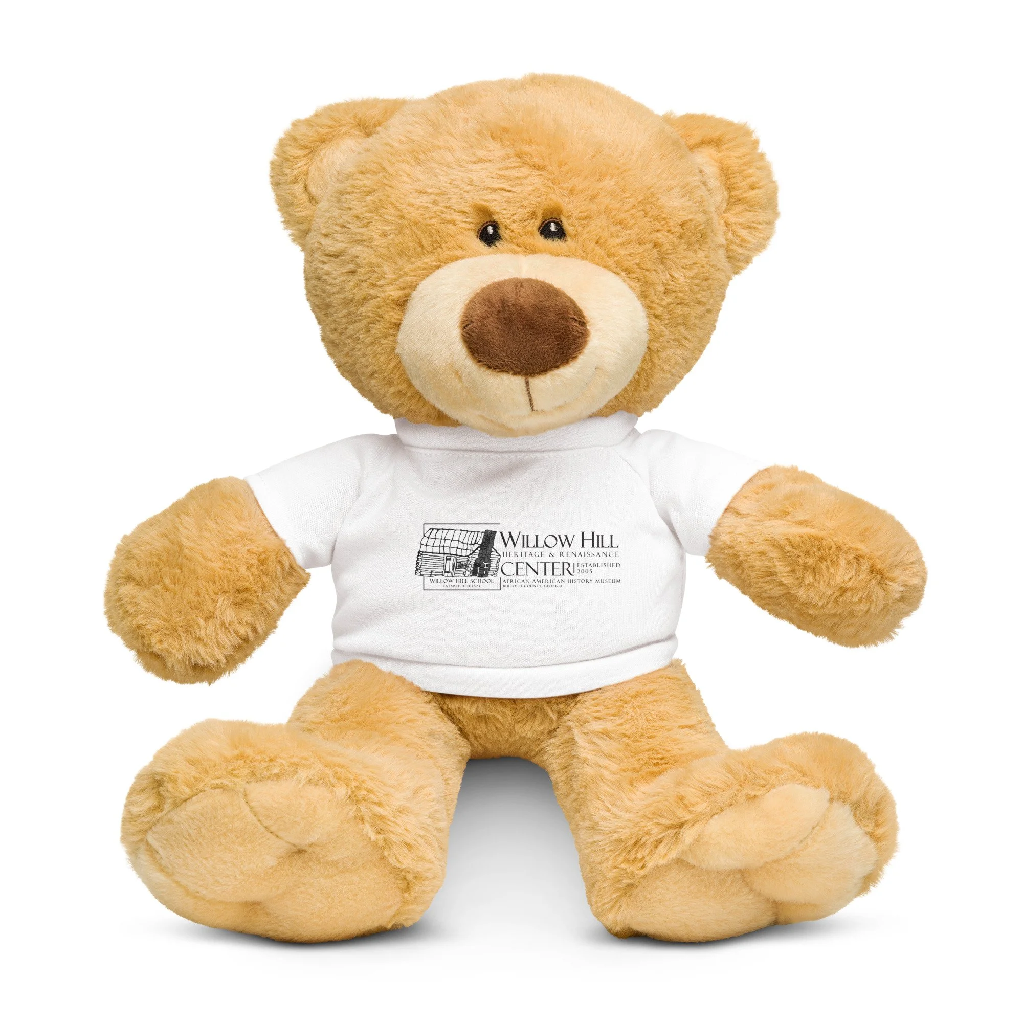 teddy-bear-with-a-t-shirt-white-front-69662b9b61bc1.jpg