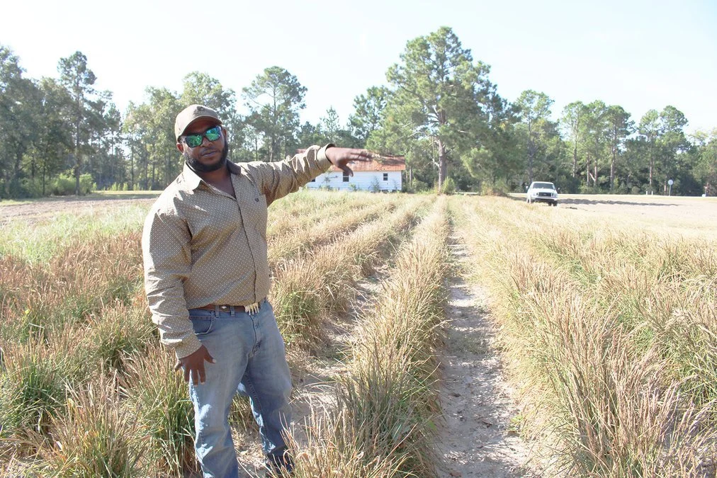 Pastured pork and vegetable farmer Roy Mosley moving into rice production