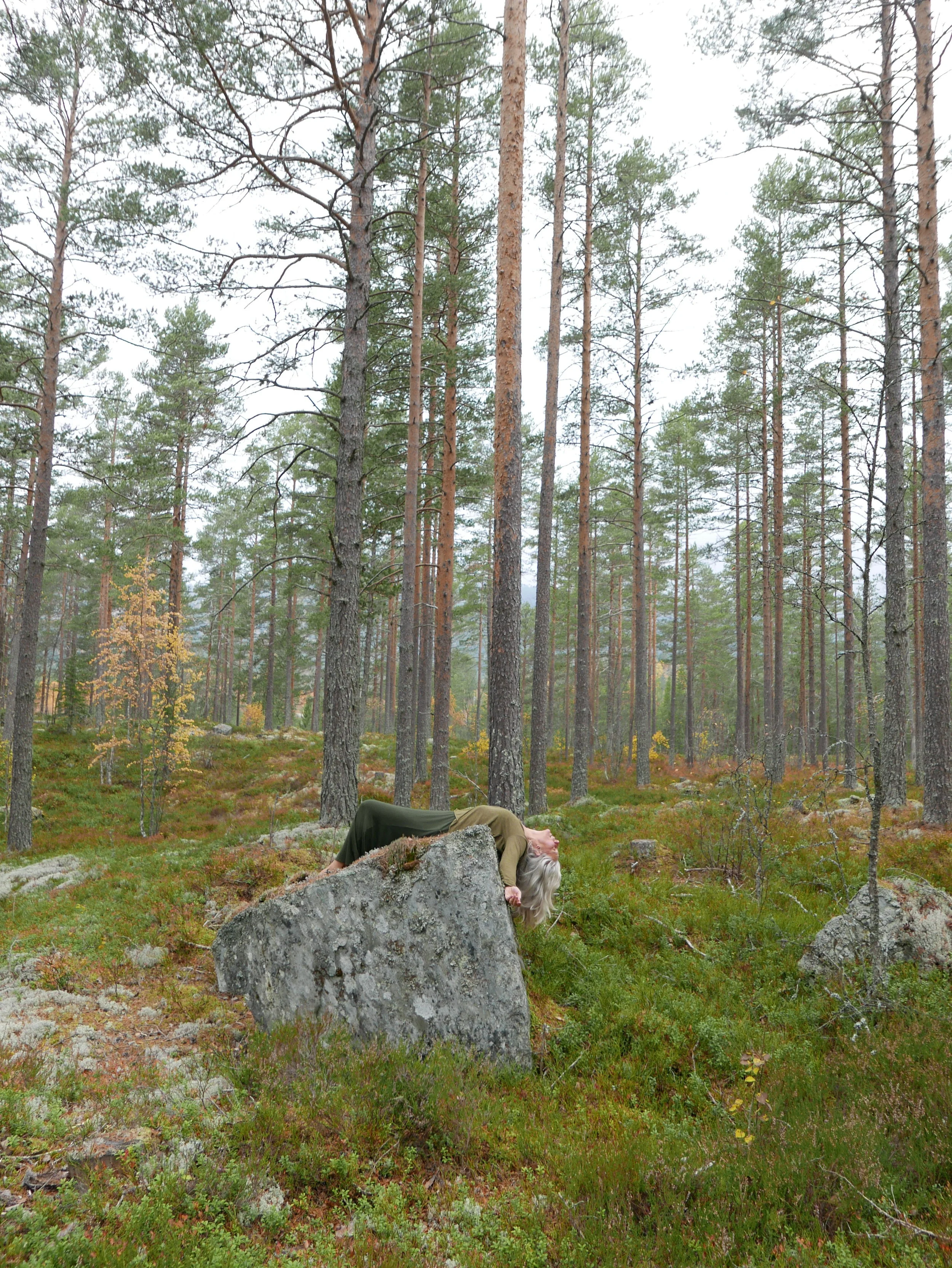 L2090491.jpg