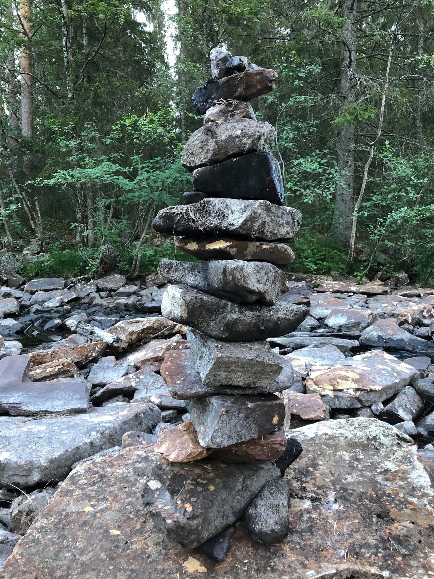 VARDEBYGGING FOR MENN