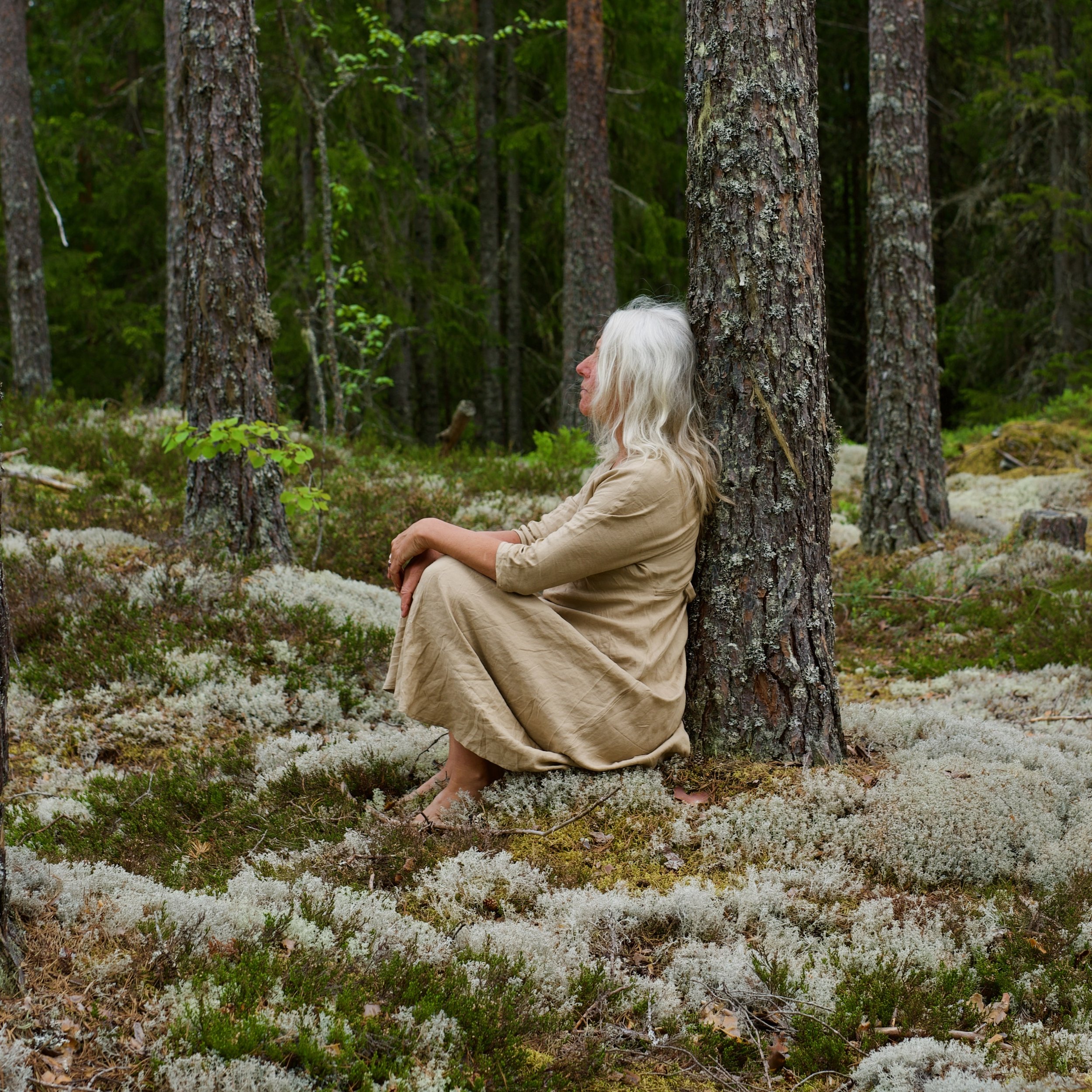 _DSC9195.jpeg