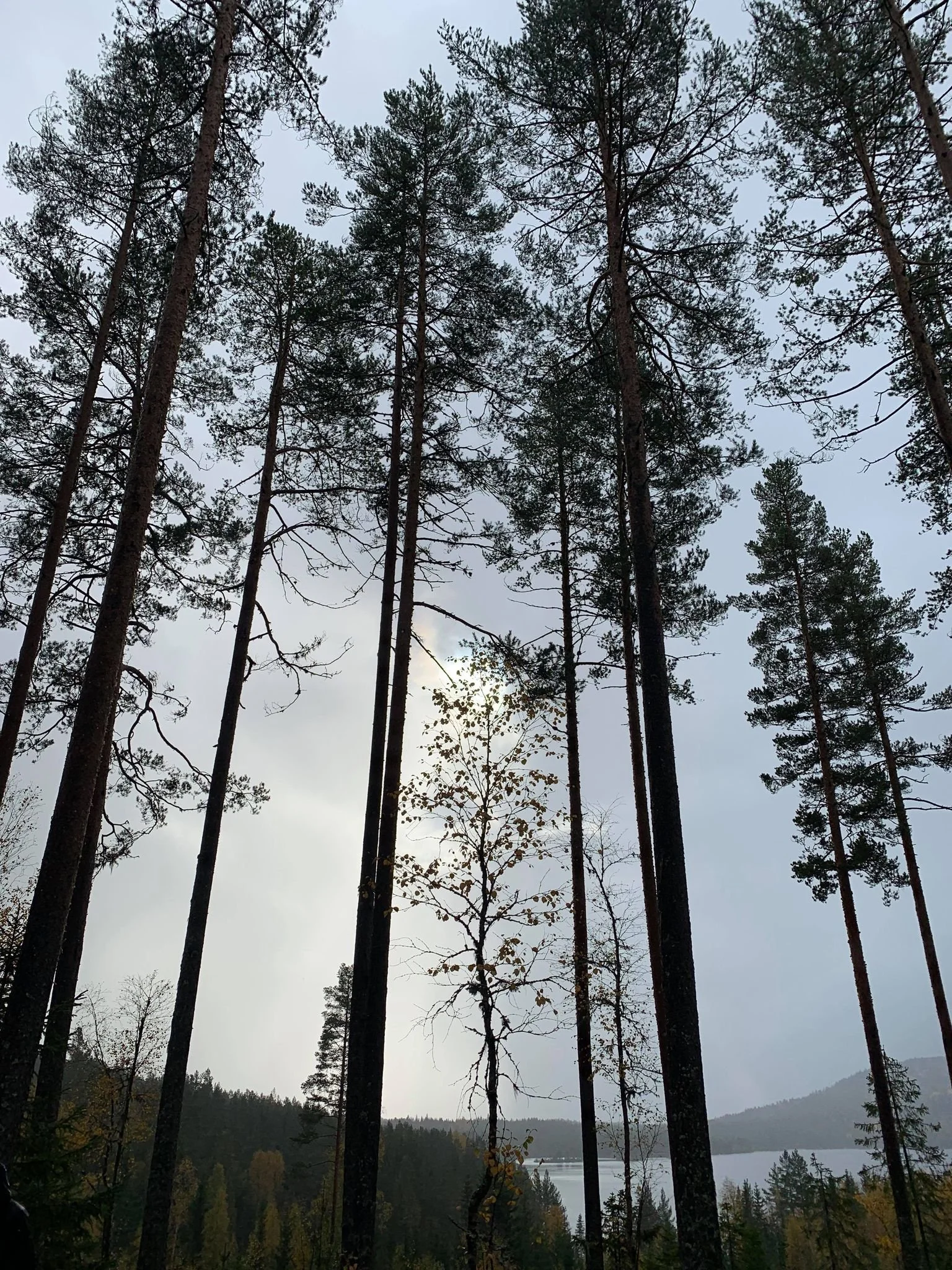 Trenger du ny styrke? La naturen, felleskapet og godfølelsen i kroppen etter en dag ute, i arbeid og lek hjelpe deg.
